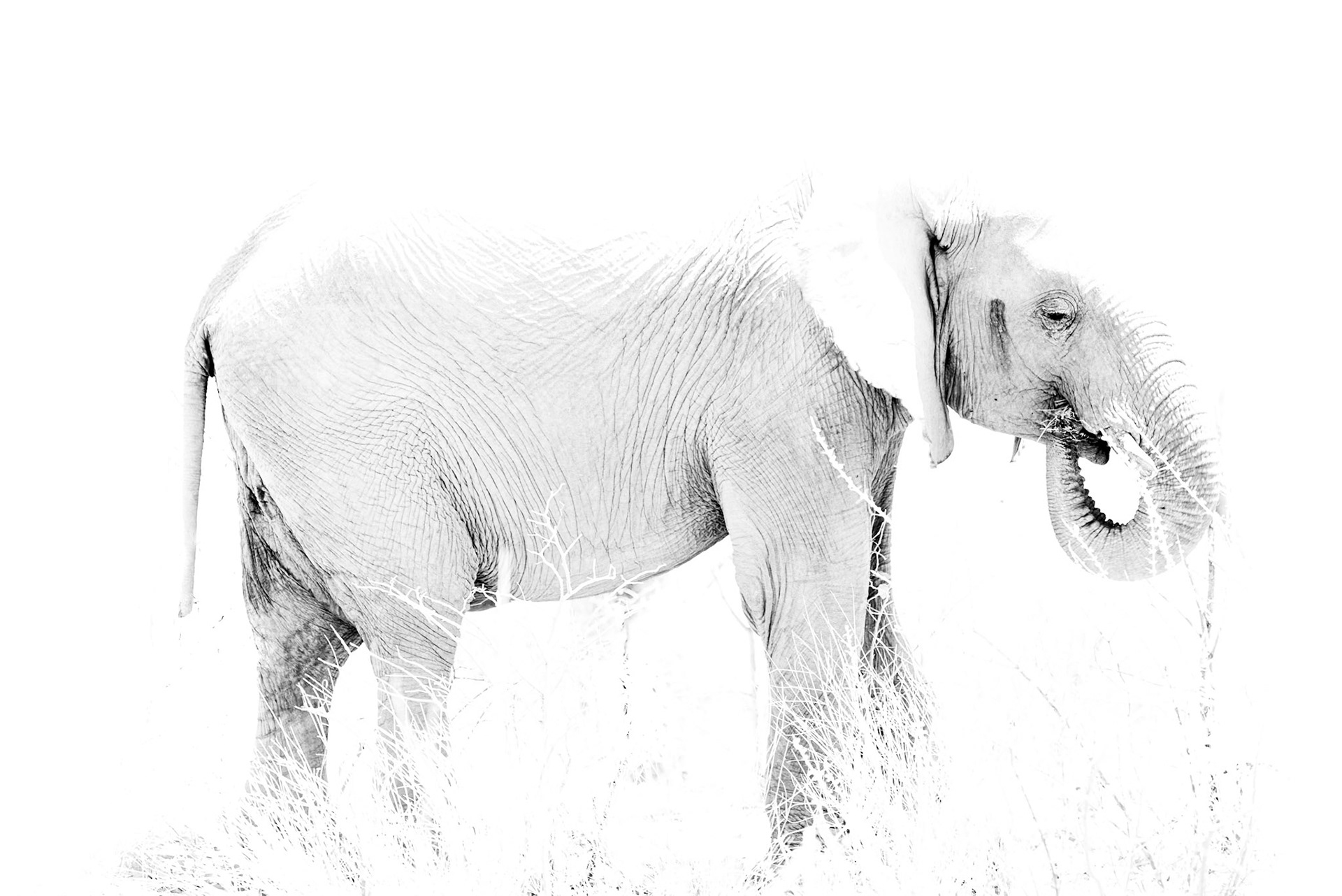 Overexposed, Namibia 2019