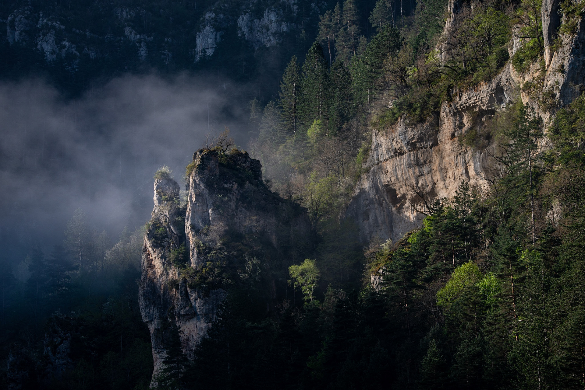 Rock'n mist, Gorges du Tarn 2022