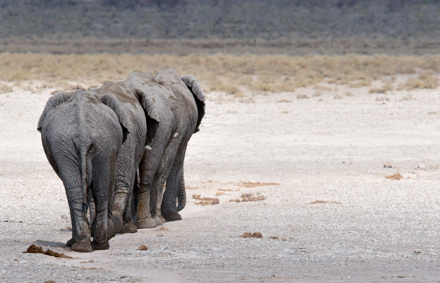 Good bye, Namibia 2019