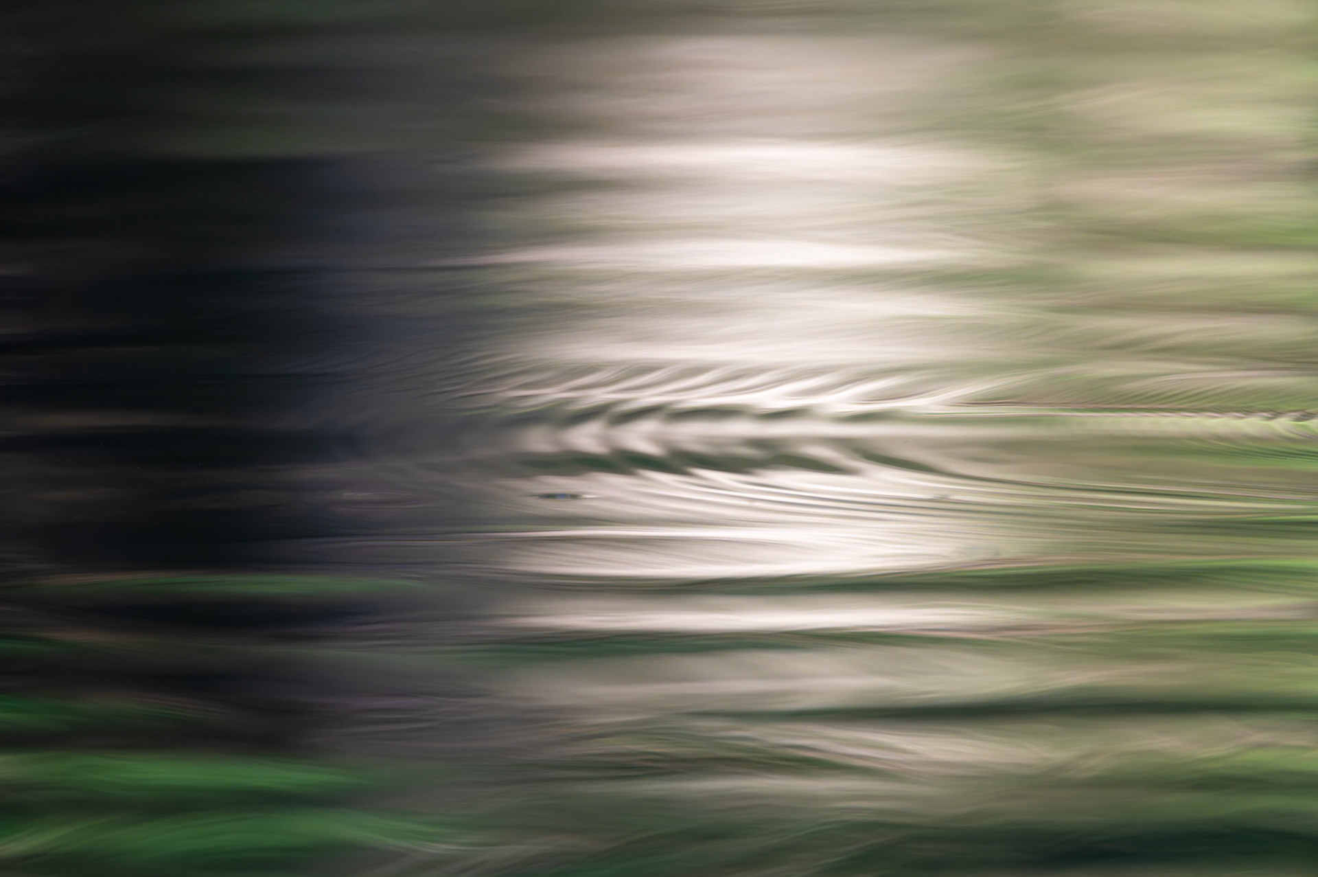 Reflections 11, Lirou 2024