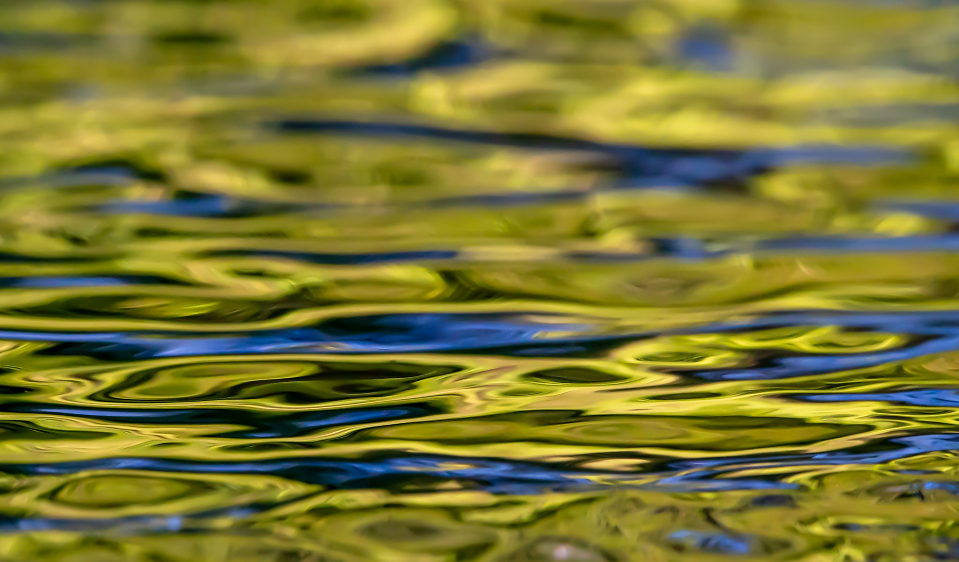 Reflections 14, Le Lez 2023