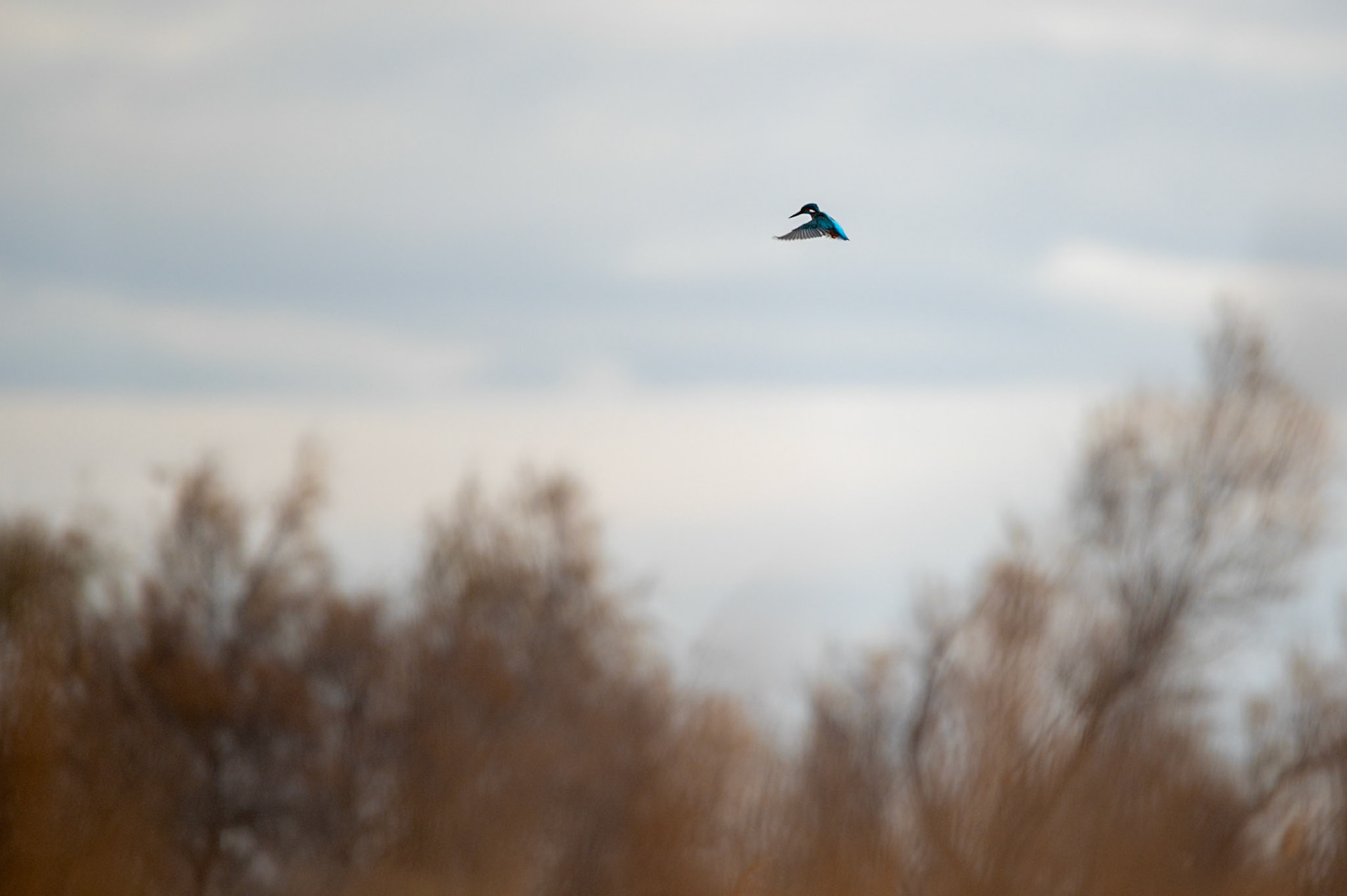 St Esprit 2, Camargue 2025