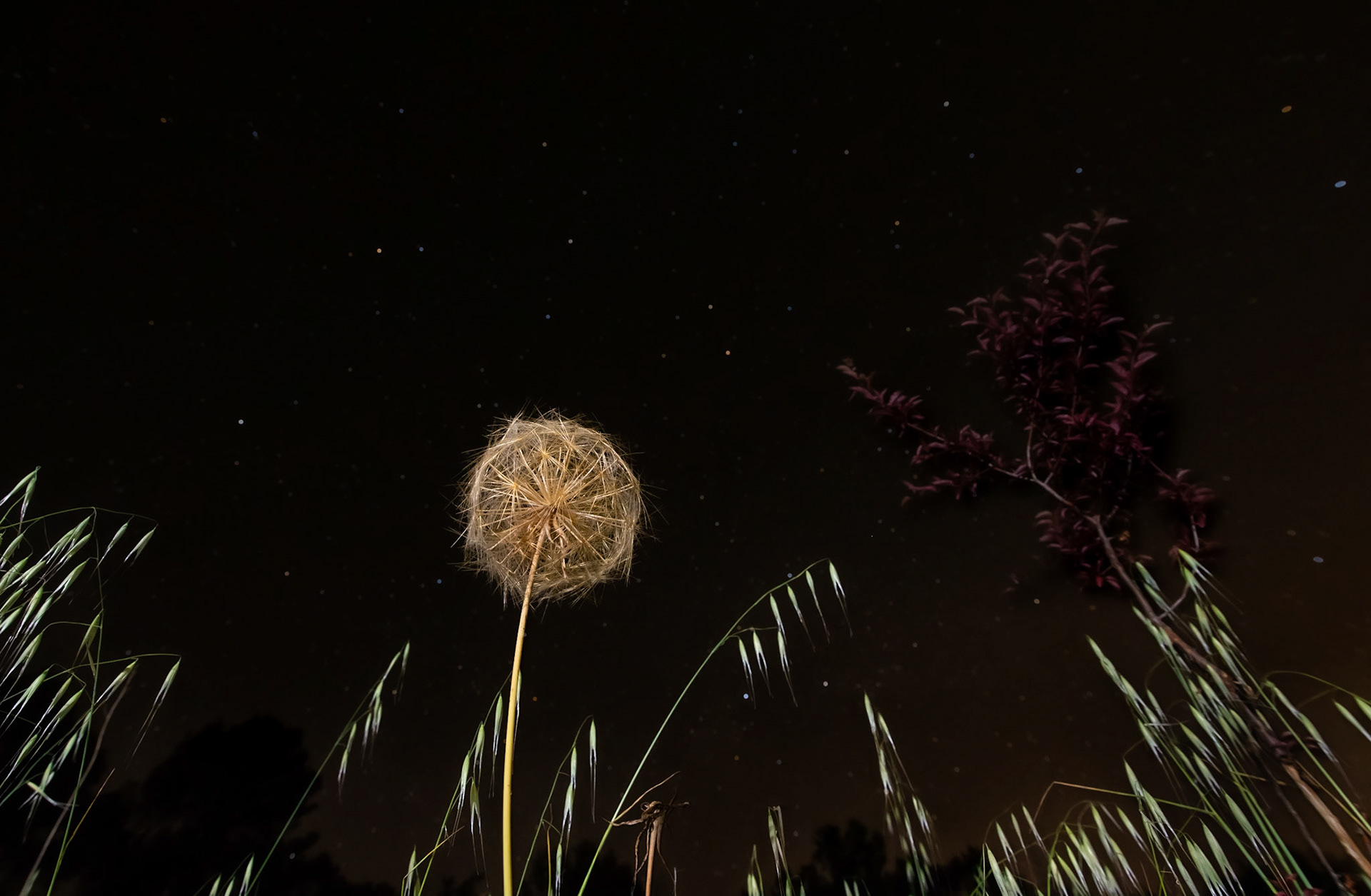 New Moon, Montpellier 2022