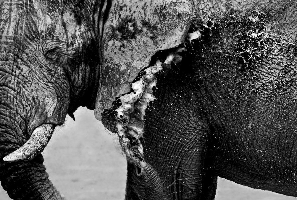 Mudbath, Namibia 2019