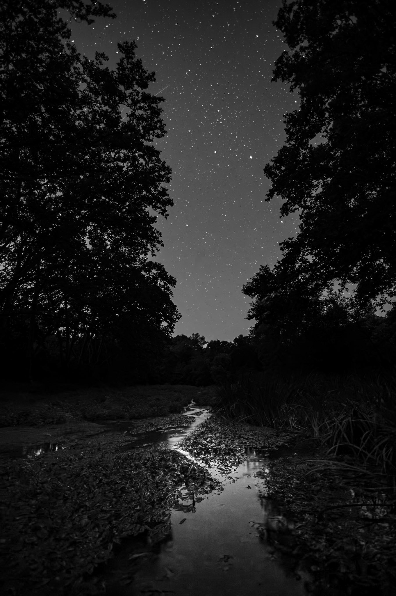 Sinueux BW, Prades le Lez 2024