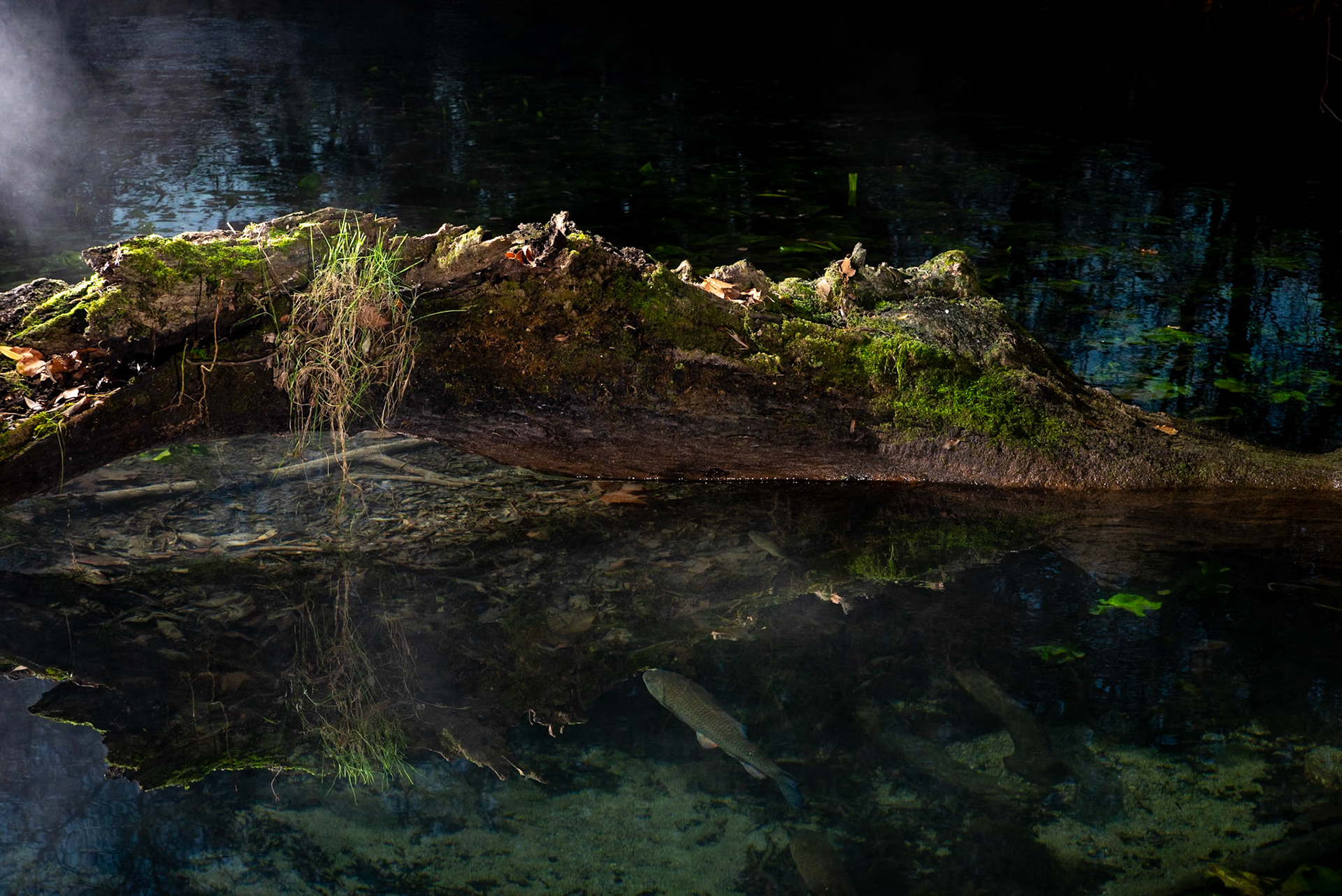 Imprévu, Prades le Lez  2023