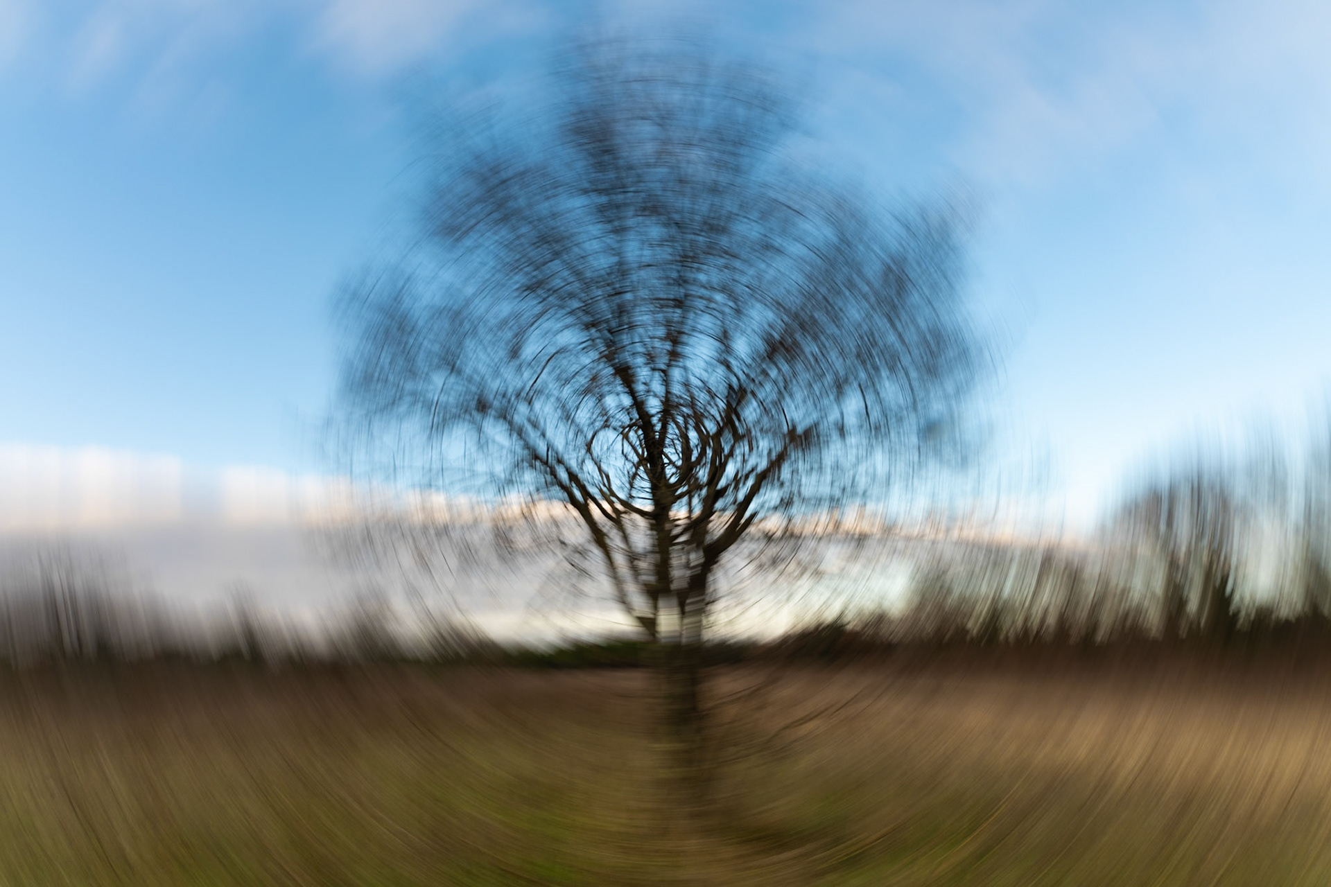 Rotation, Prades le Lez 2025