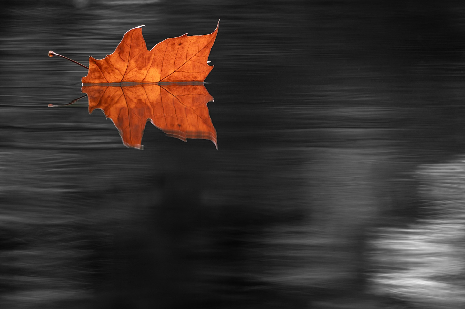 Automne 1, Prades le Lez 2024