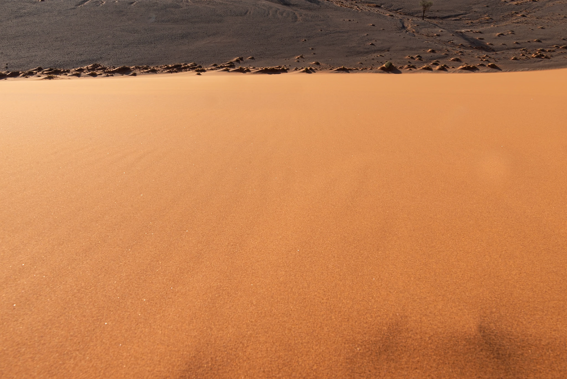 Sand and roc,  Namibia 2019