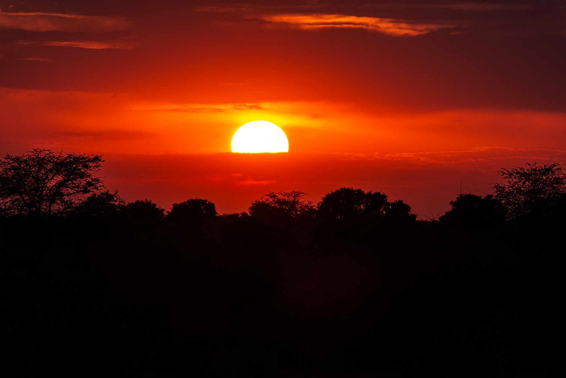 En rouge et noir, Namibia 2019