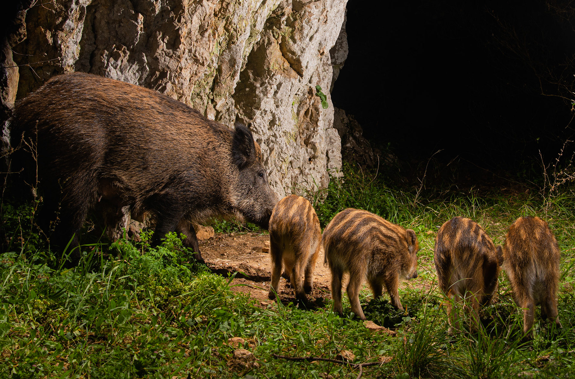 Mother and children, Montpellier 2022