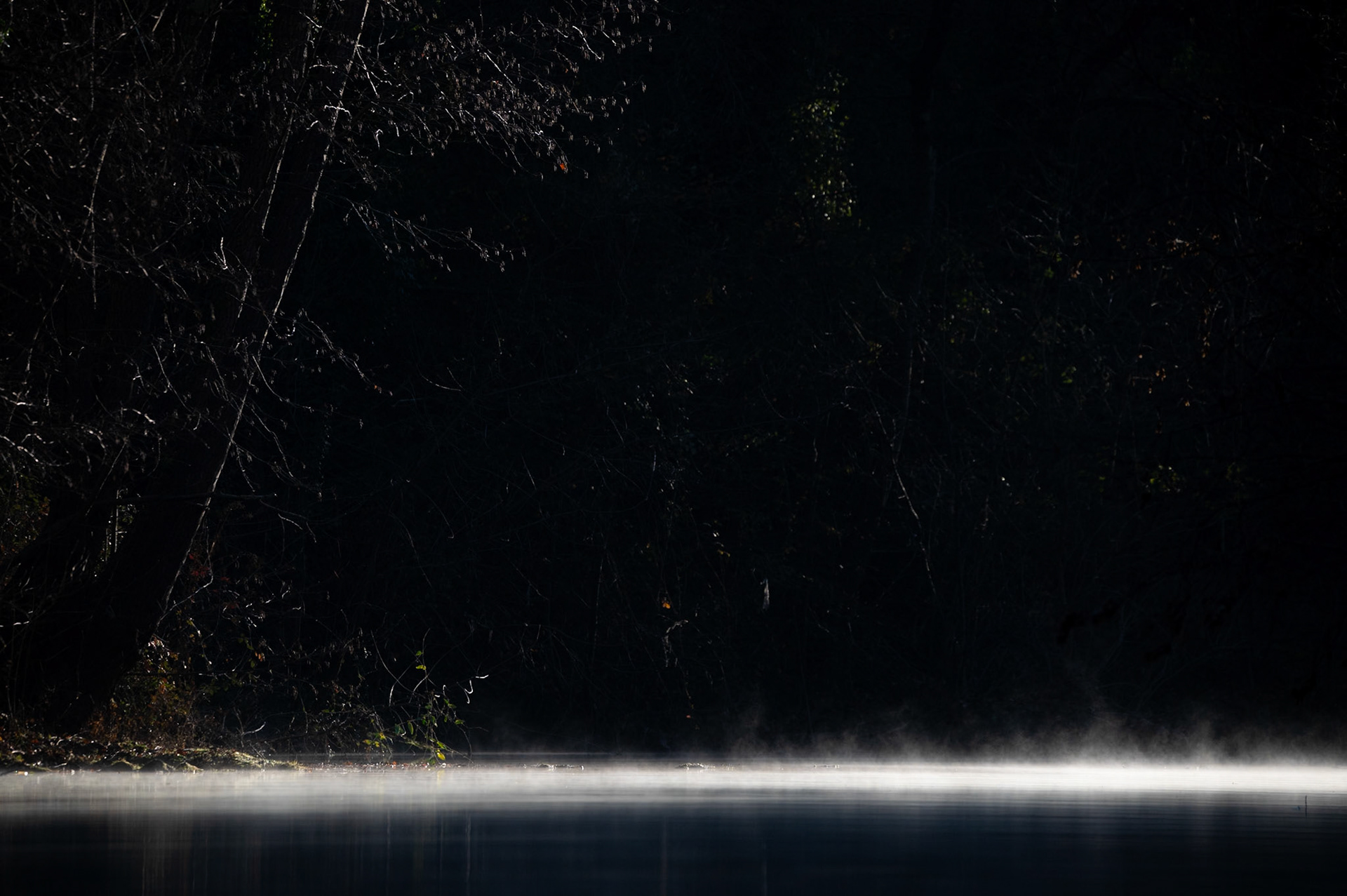 Mist-ic, Montferrier sur Lez 2025