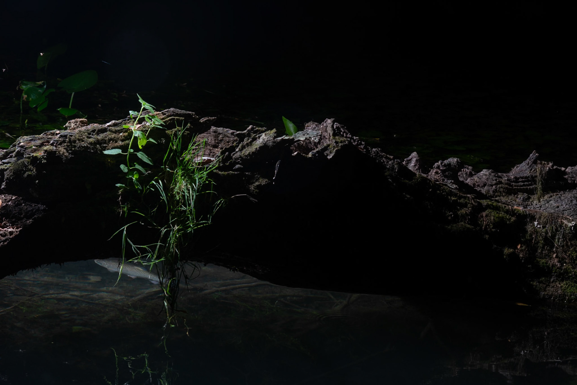 Imprevu #3, Prades le Lez 2024