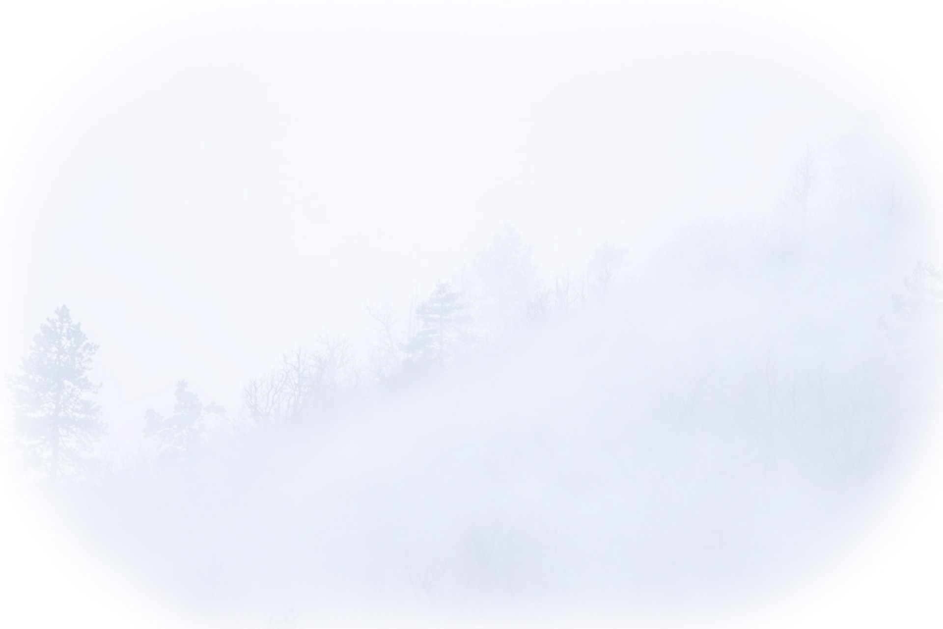 The Mist, Gorges du Tarn 2022