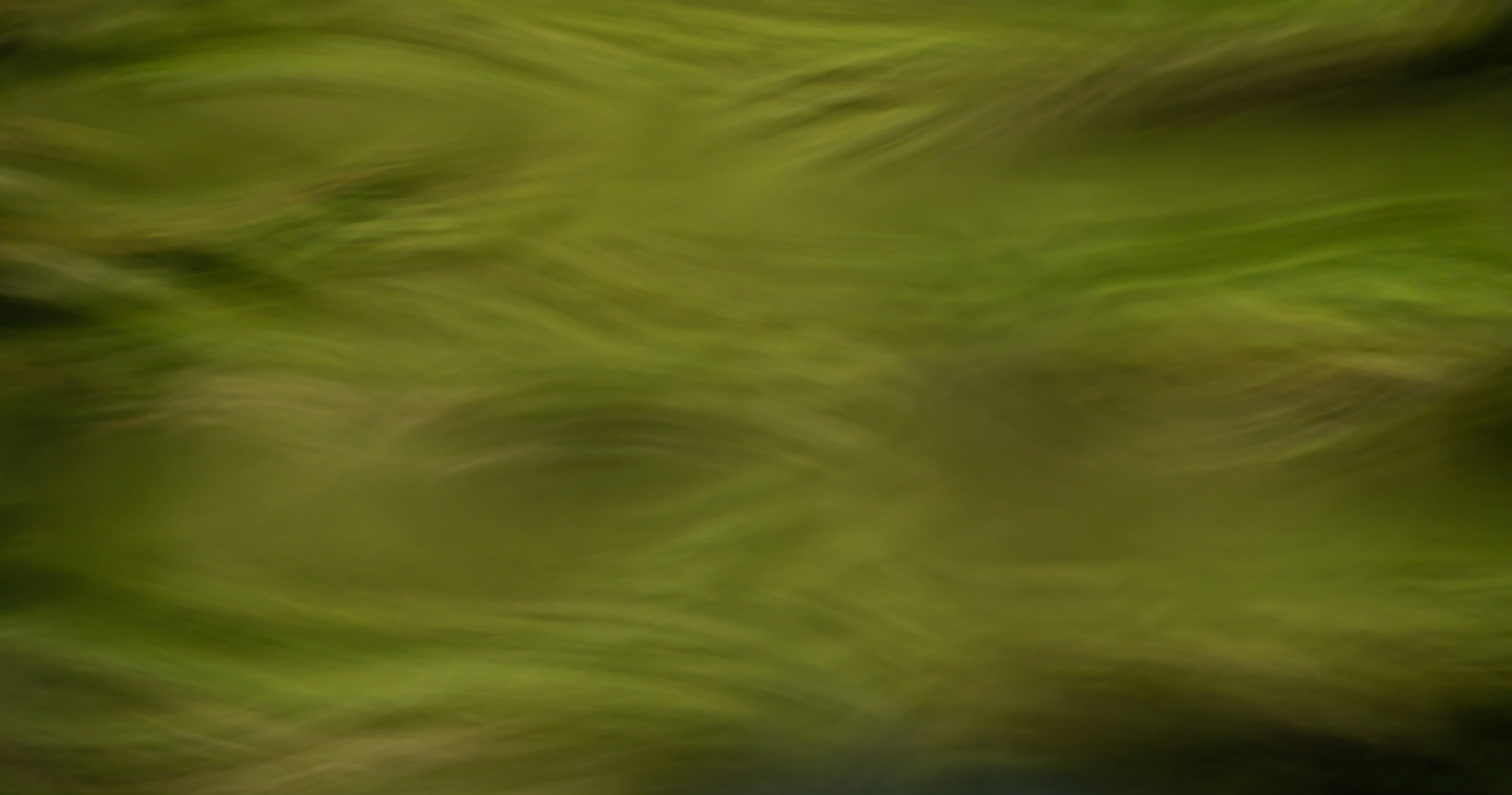 Reflections 13, Le Lez 2023