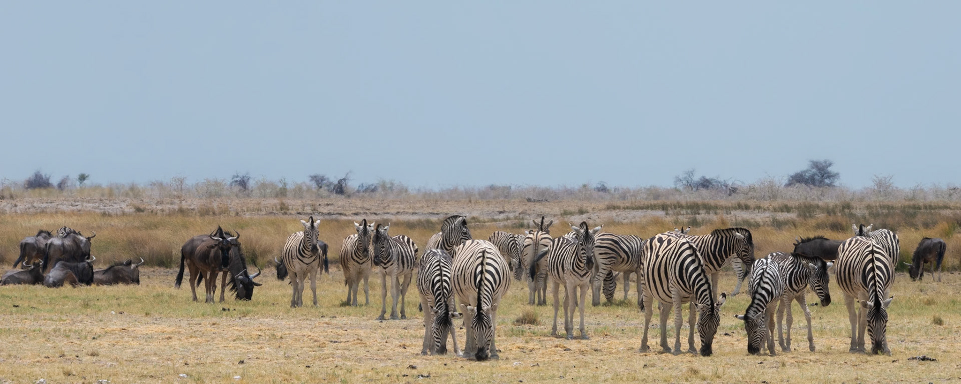 Africa, Namibia 2019