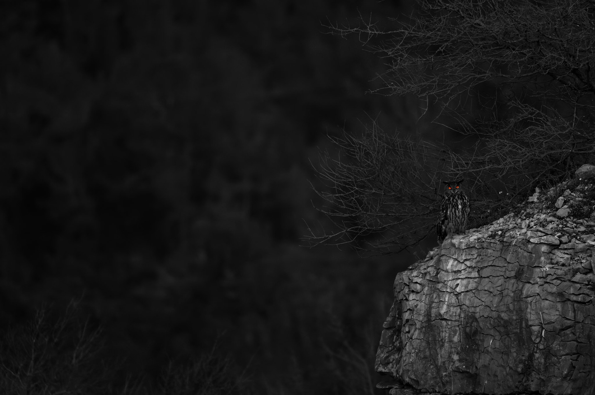 Black White Orange, Prades le Lez 2024