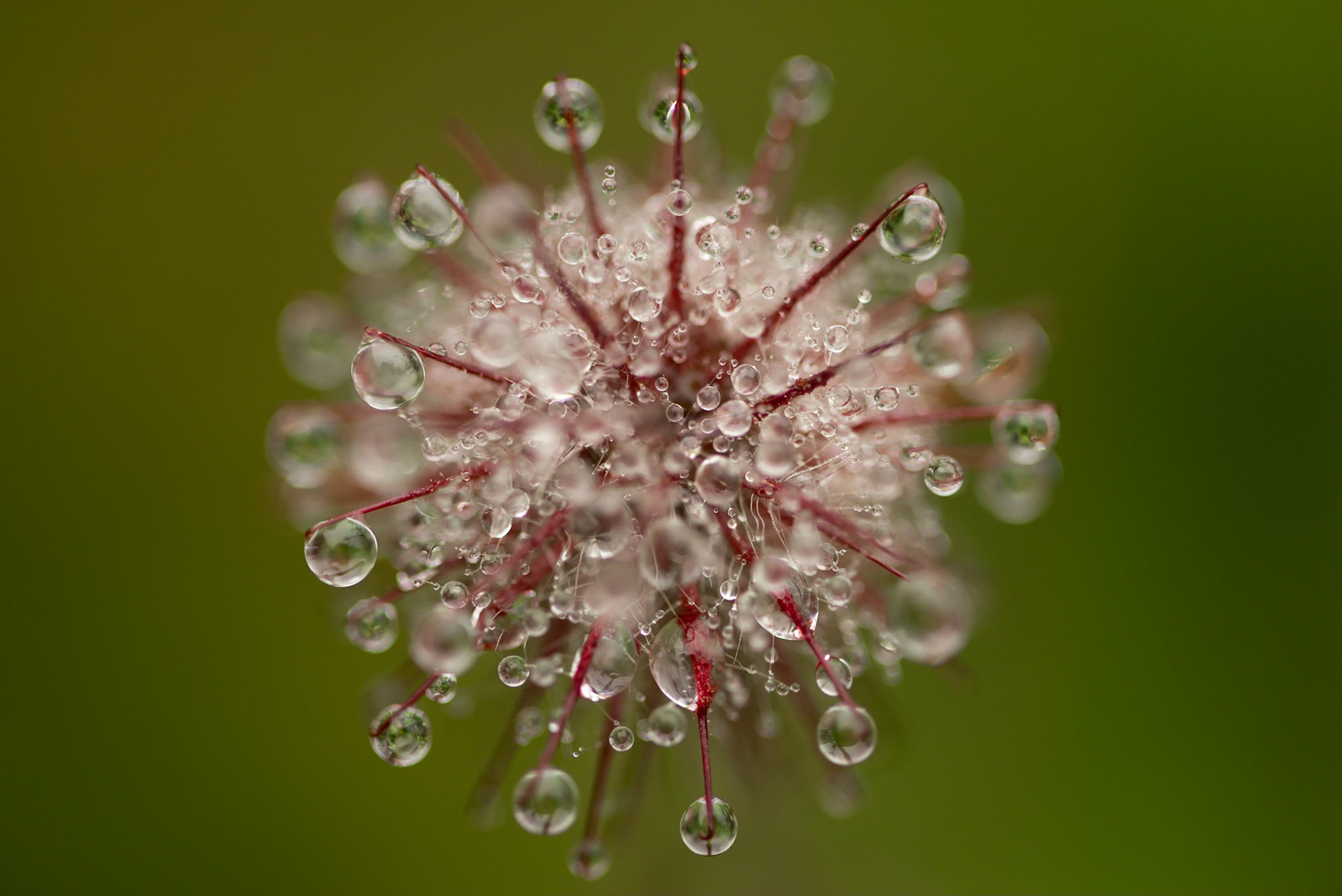 Perles, Pyrénées 2021