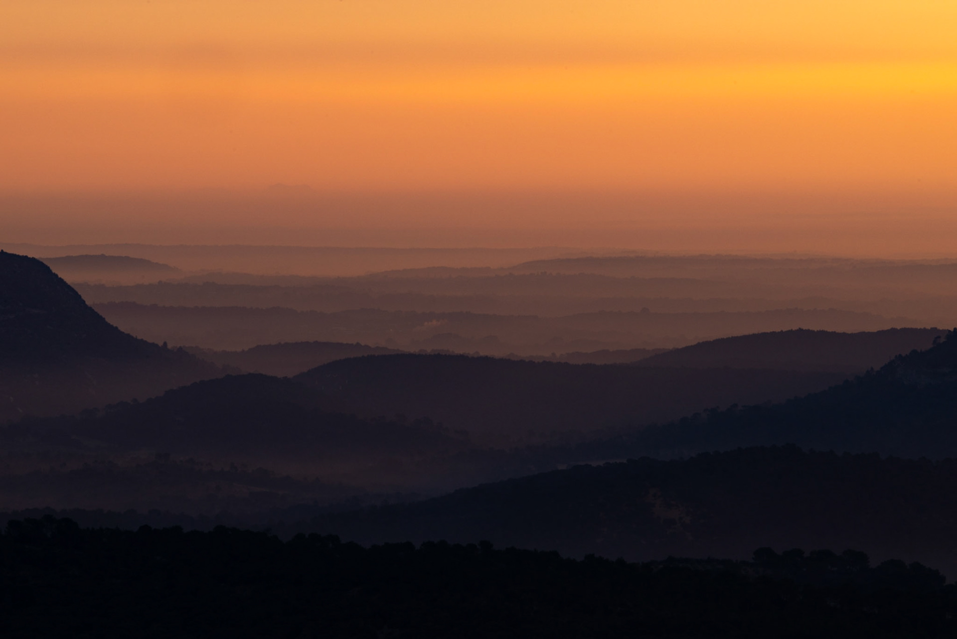 Hortus sunrise, Hortus 2022