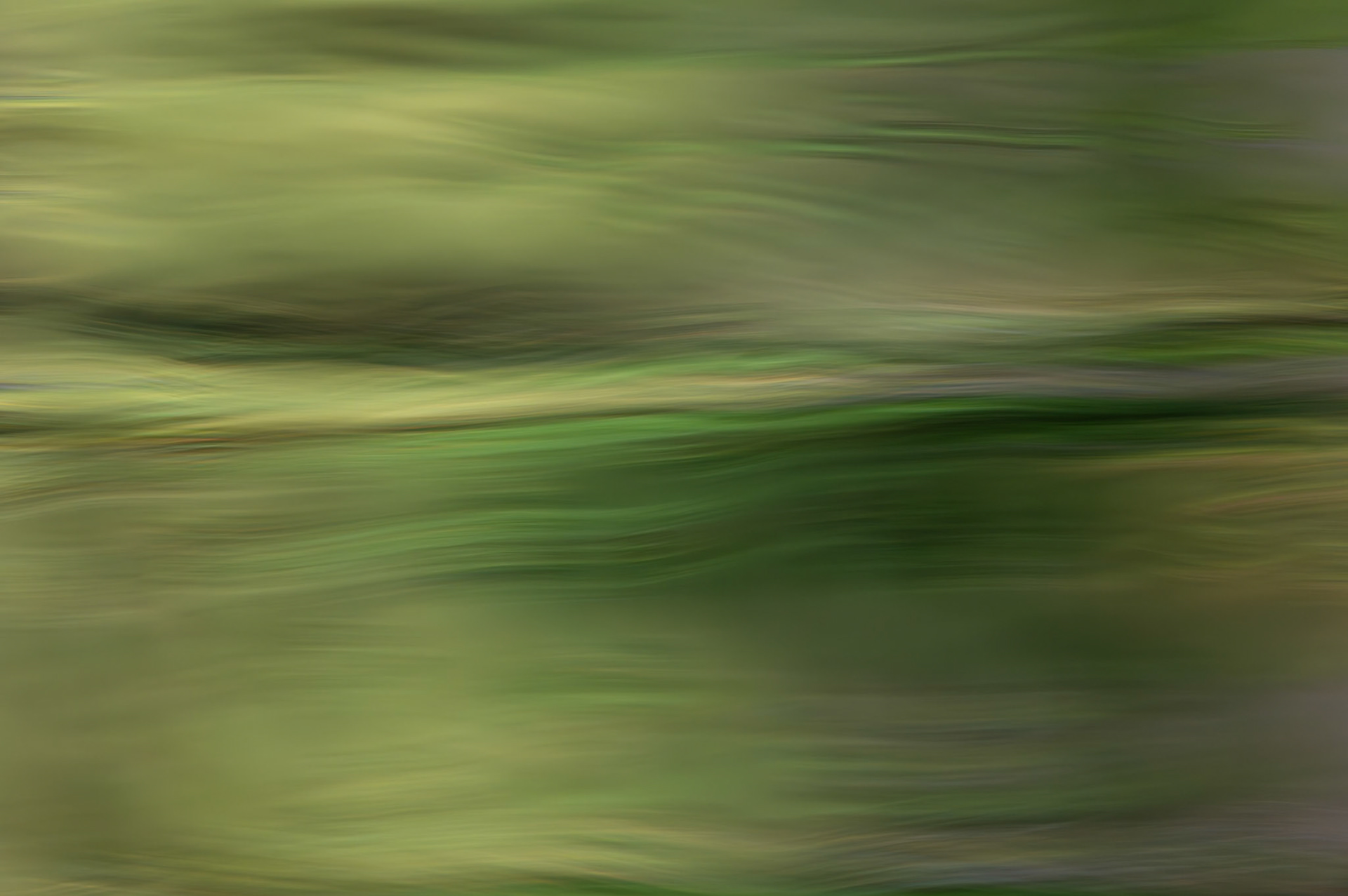 Reflections 1, Lirou 2024