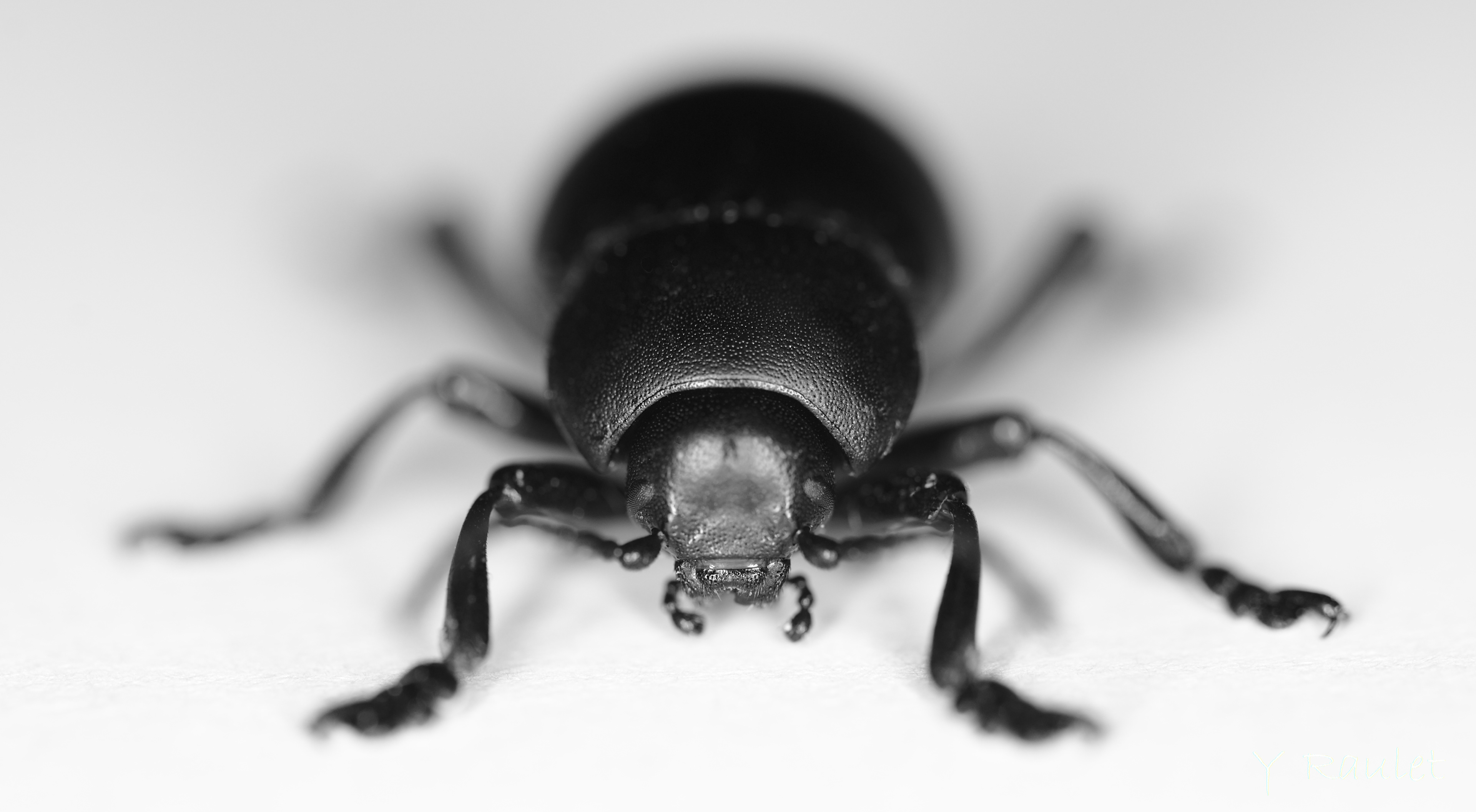 Clear and out of focus, Montpellier 2020