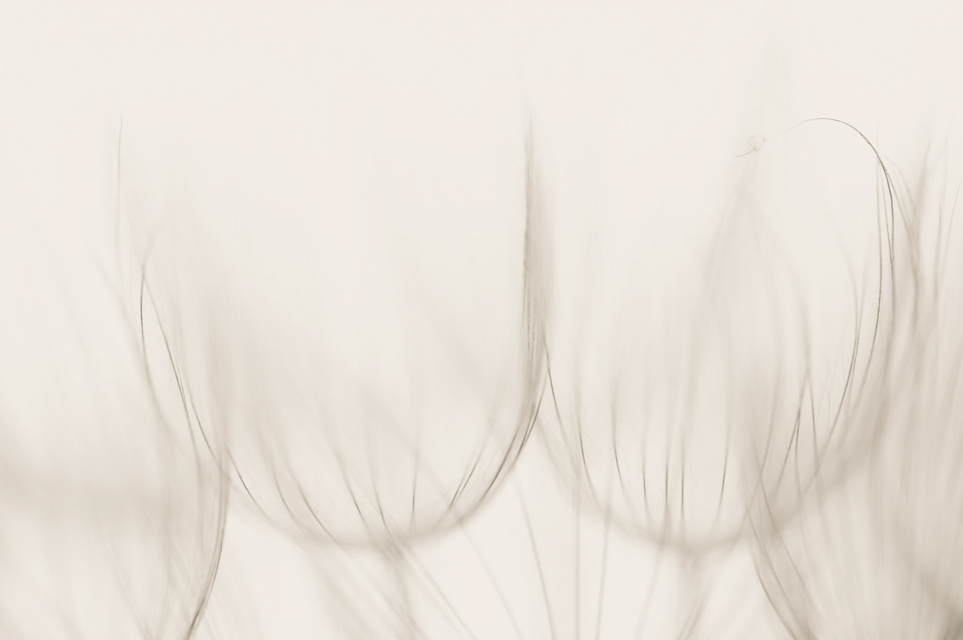 Akène #10, Prades le Lez 2025