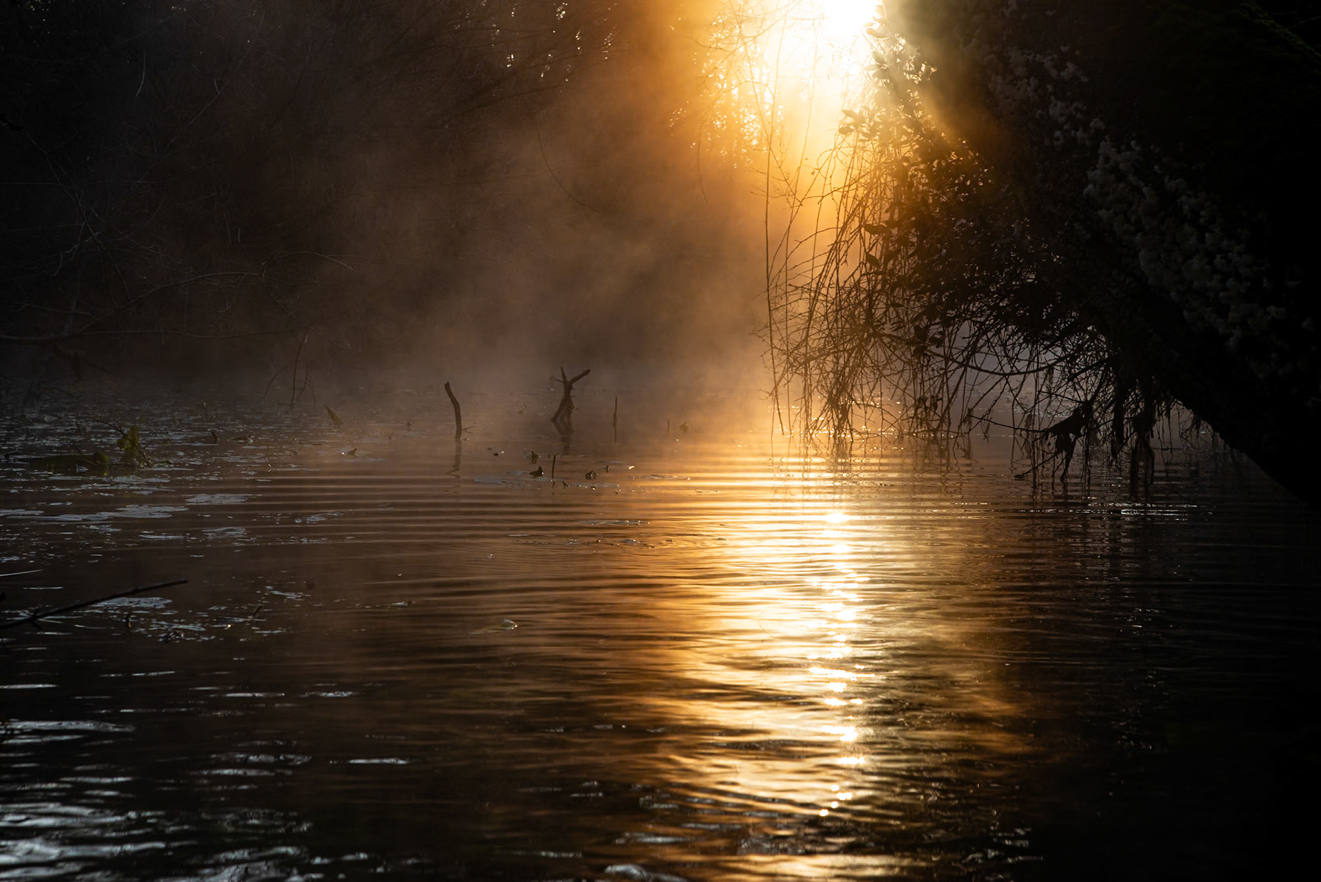 Winter sunset, Prades le Lez 2024