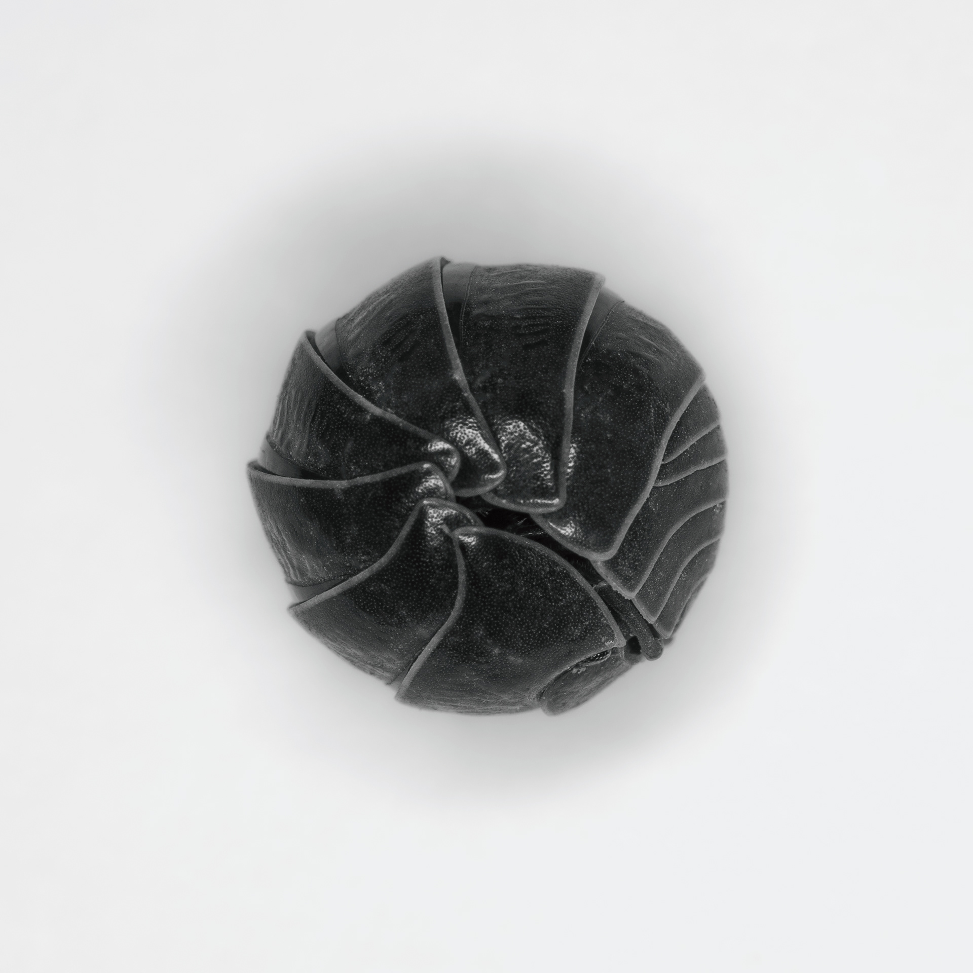Locked door, Montpellier 2020
