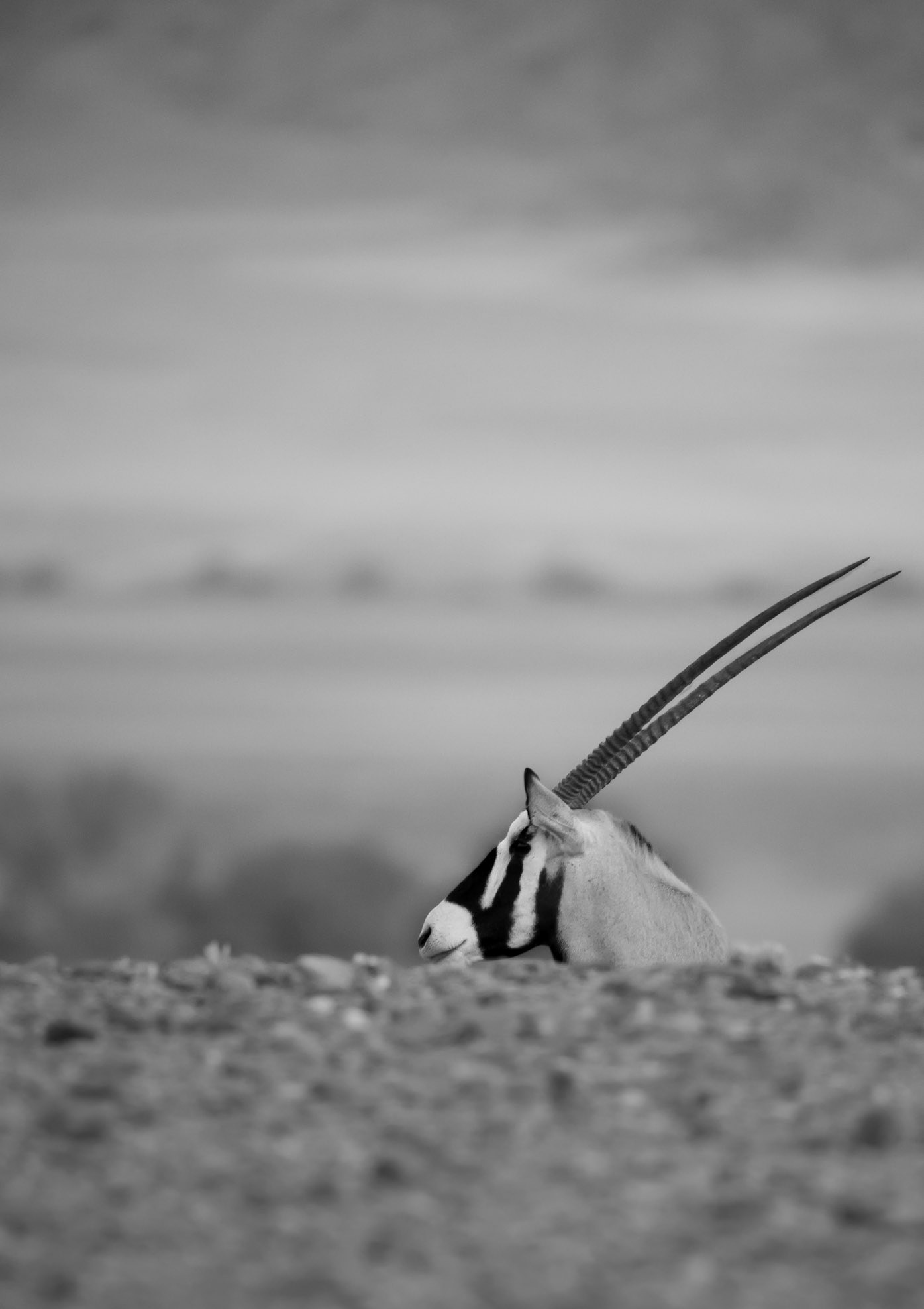 To the left, Namibia 2019