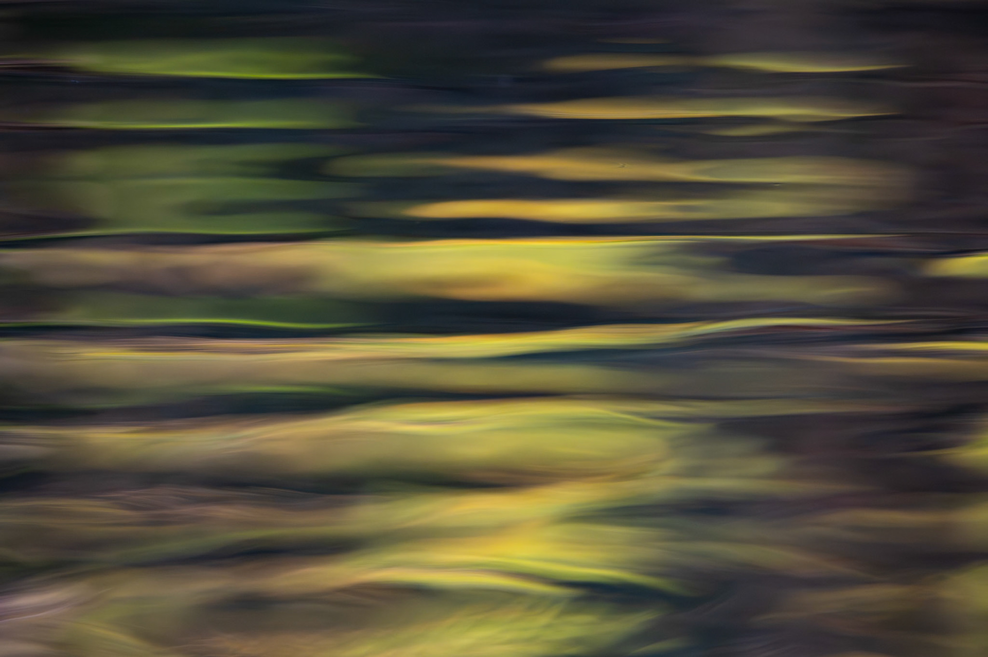 Reflets #1, Prades le Lez 2024