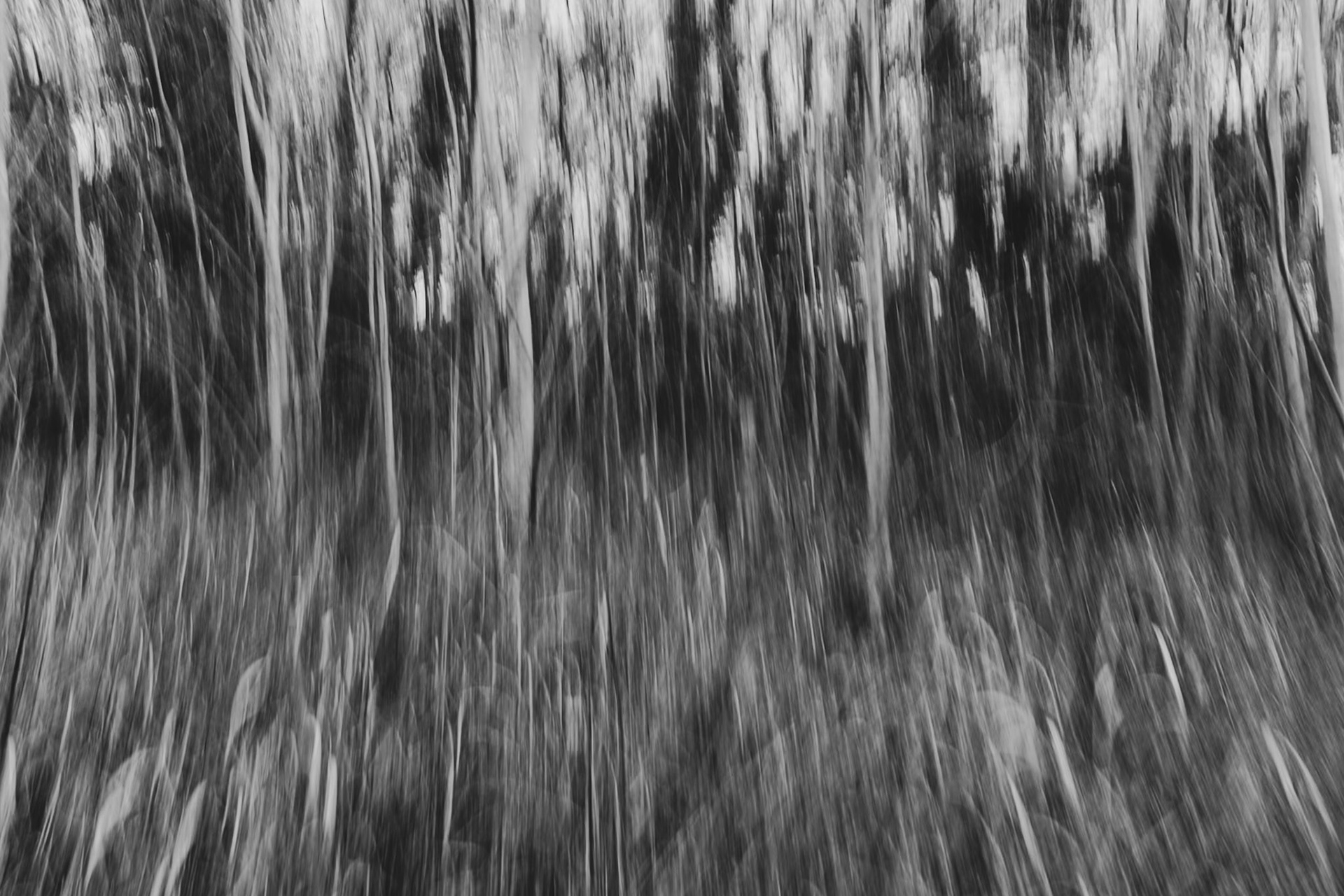 ICM #5, Prades le Lez 2025