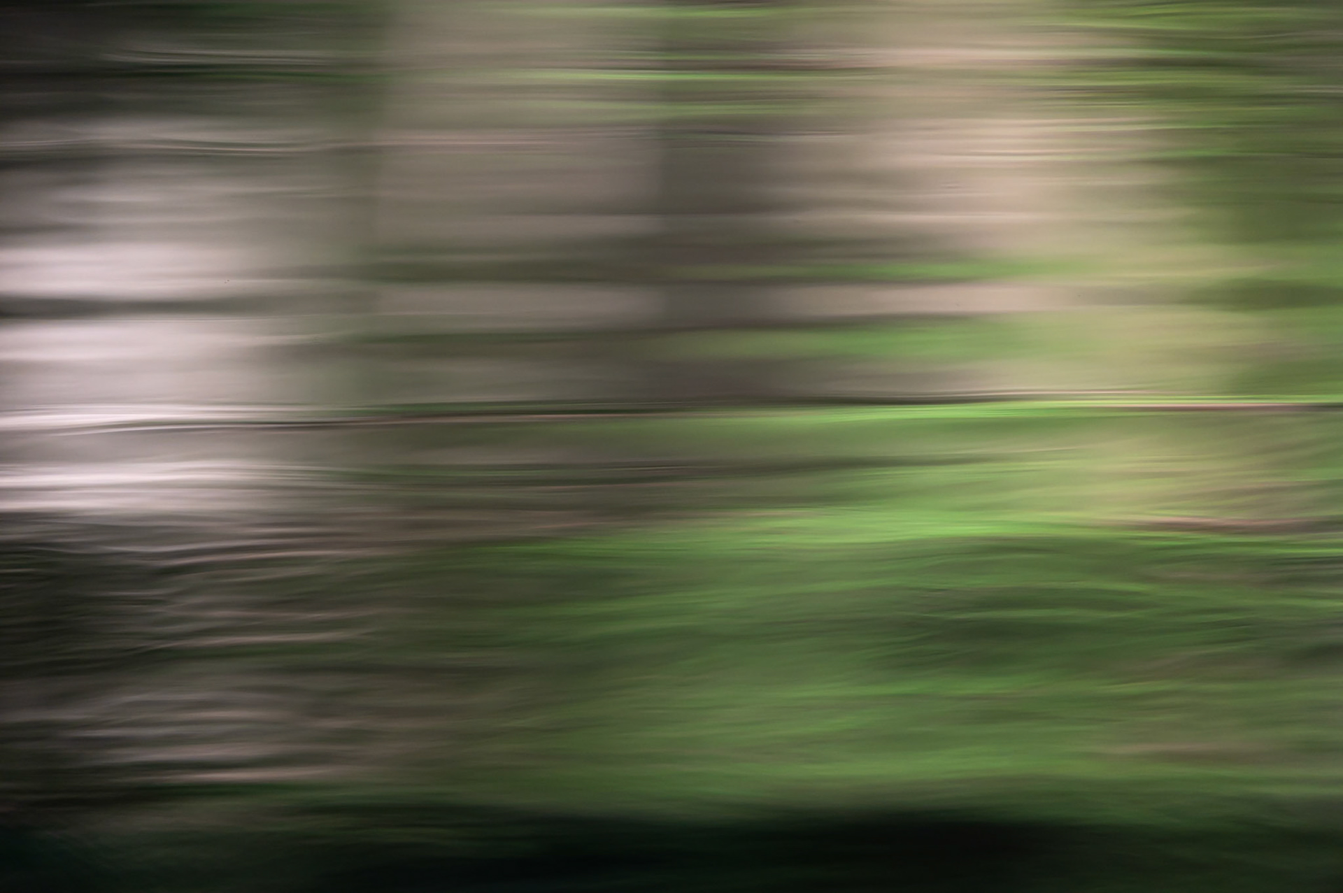 Reflections 12, Lirou 2024