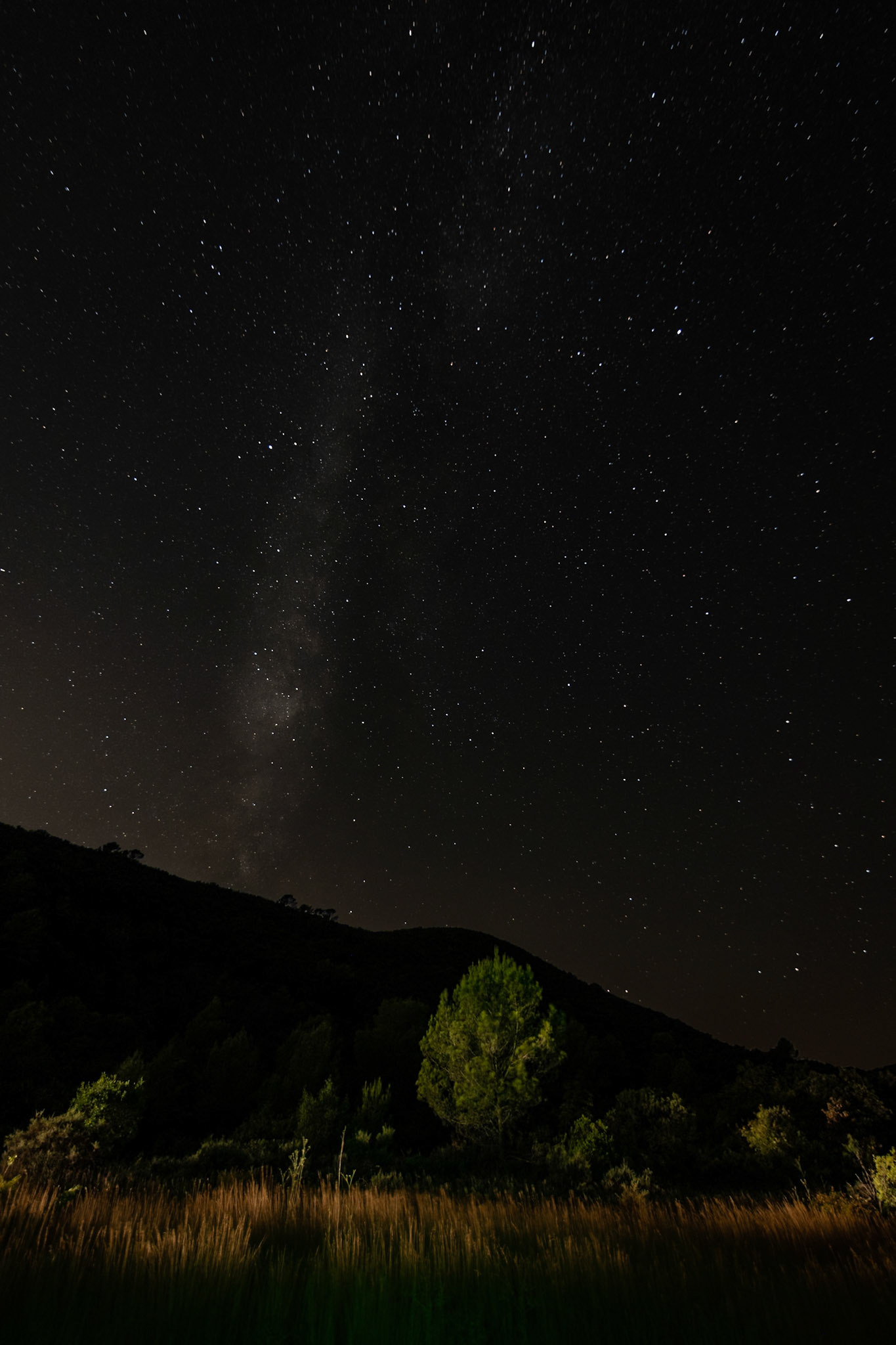 Au pied du Pic, St Jean de Cuculles 2025