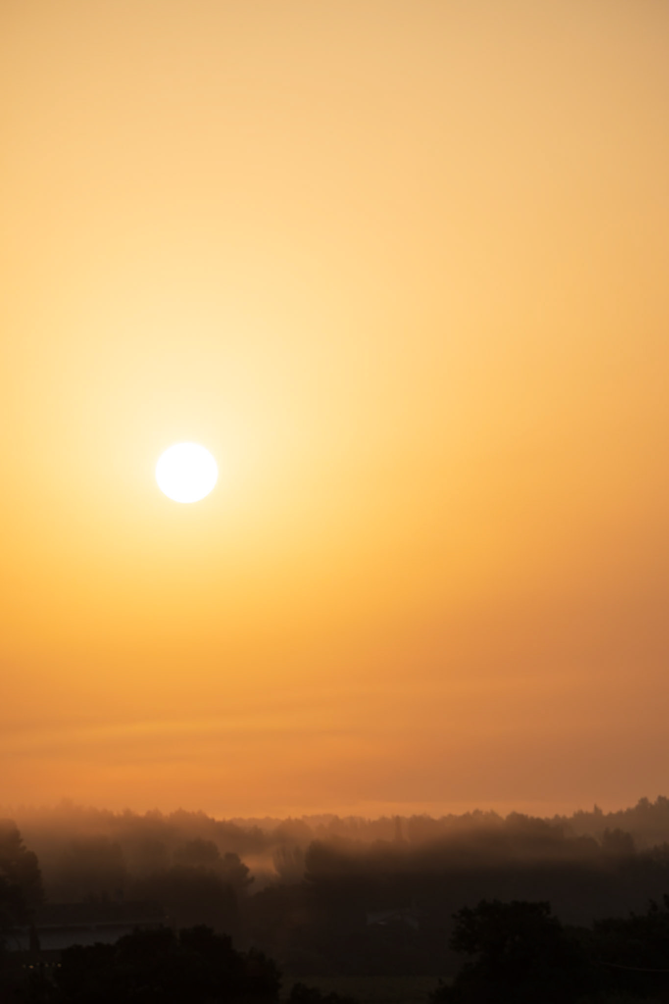 Sun and mist #2, Teyran 2025