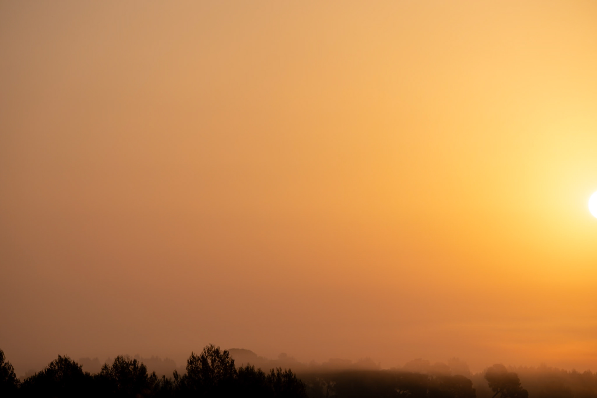 Sun and mist #1, Teyran 2025