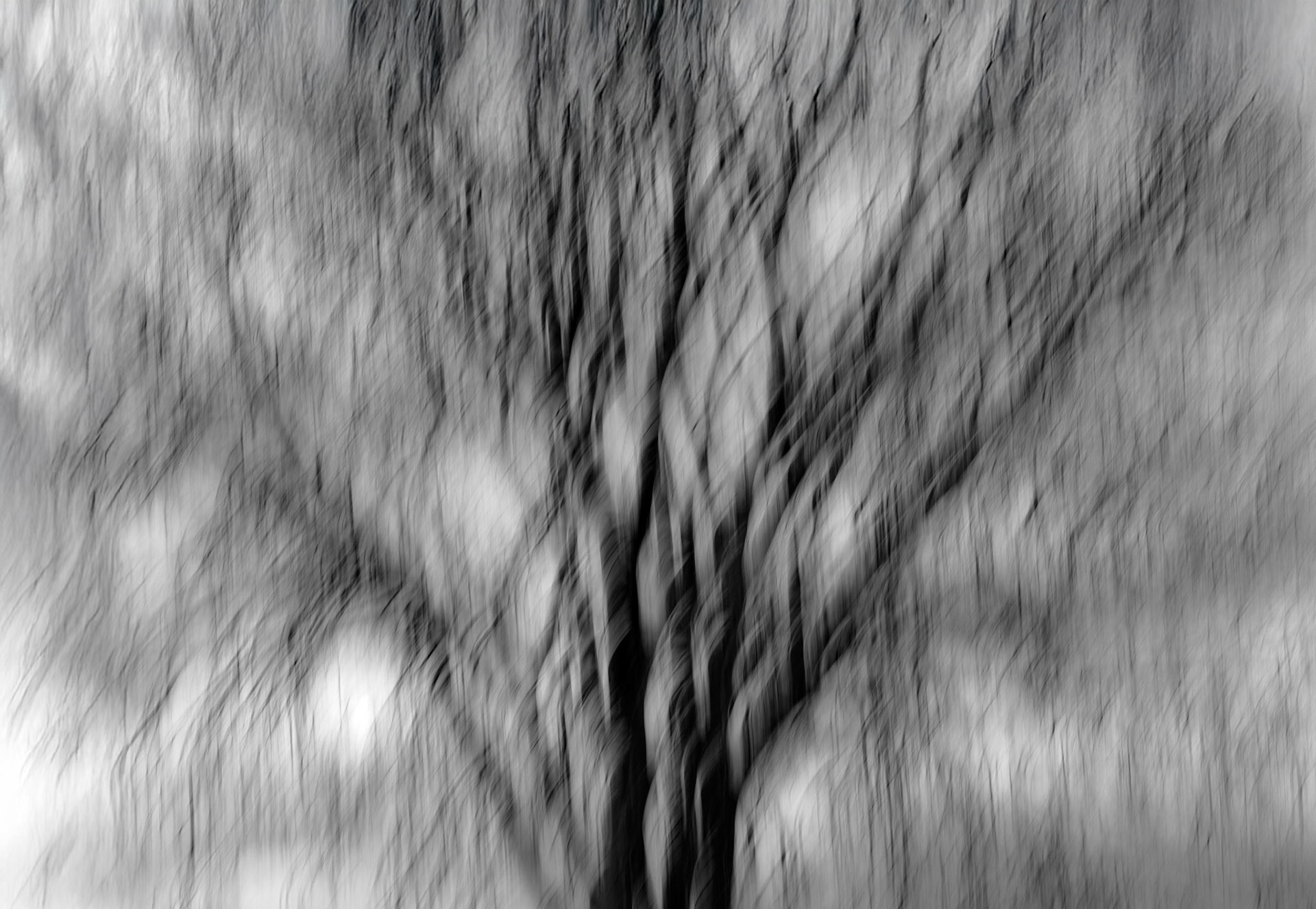 ICM #3, Prades le Lez 2025