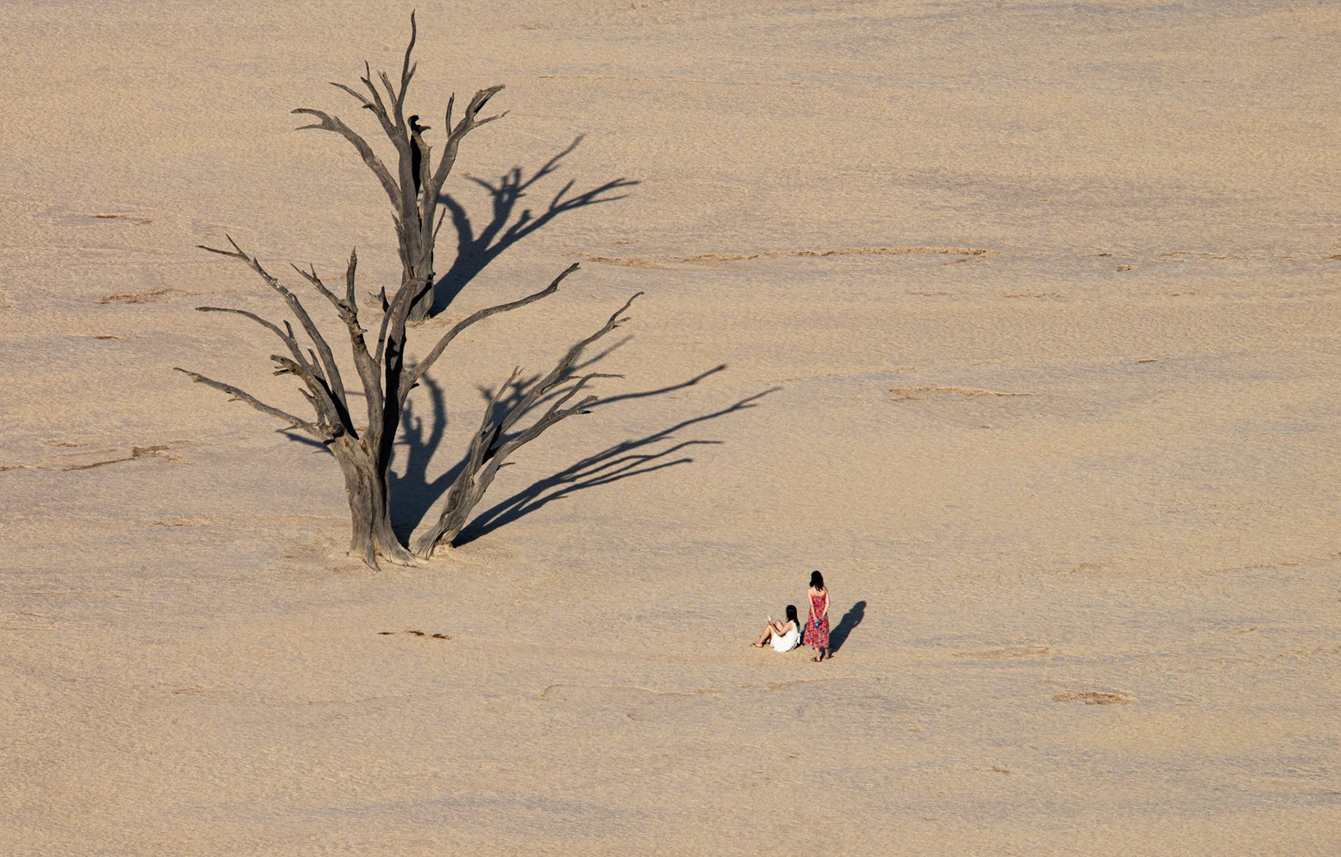 Contemplation,  Namibia 2019