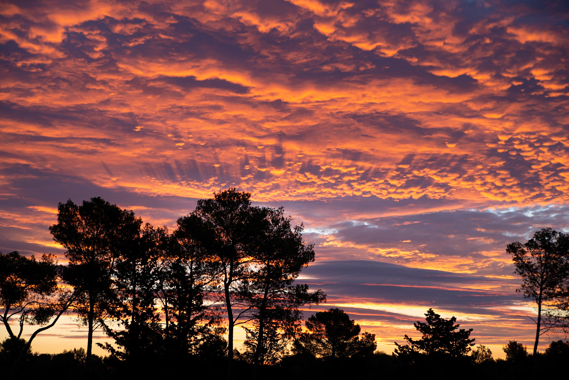Sunrise 1, Montpellier 2022