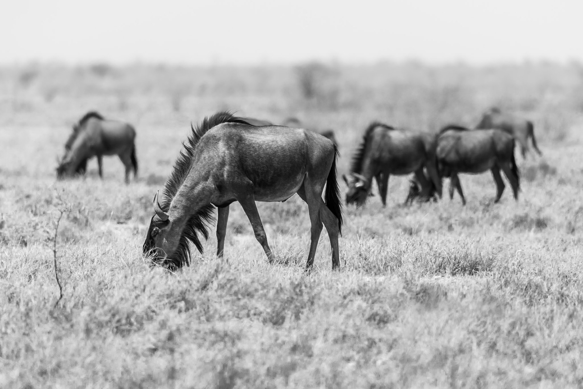 Together, Namibie 2019
