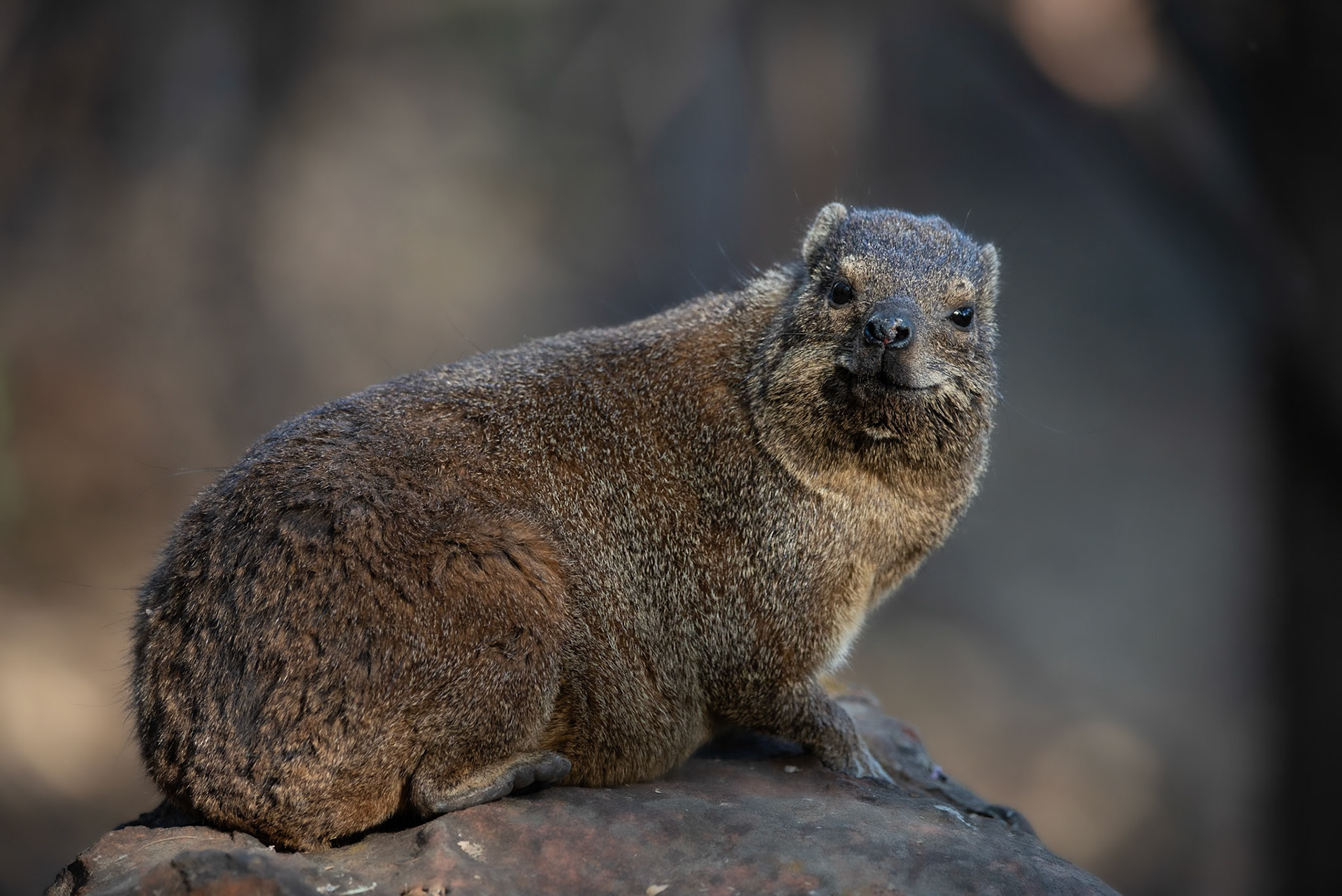 Smile, Namibia 2019
