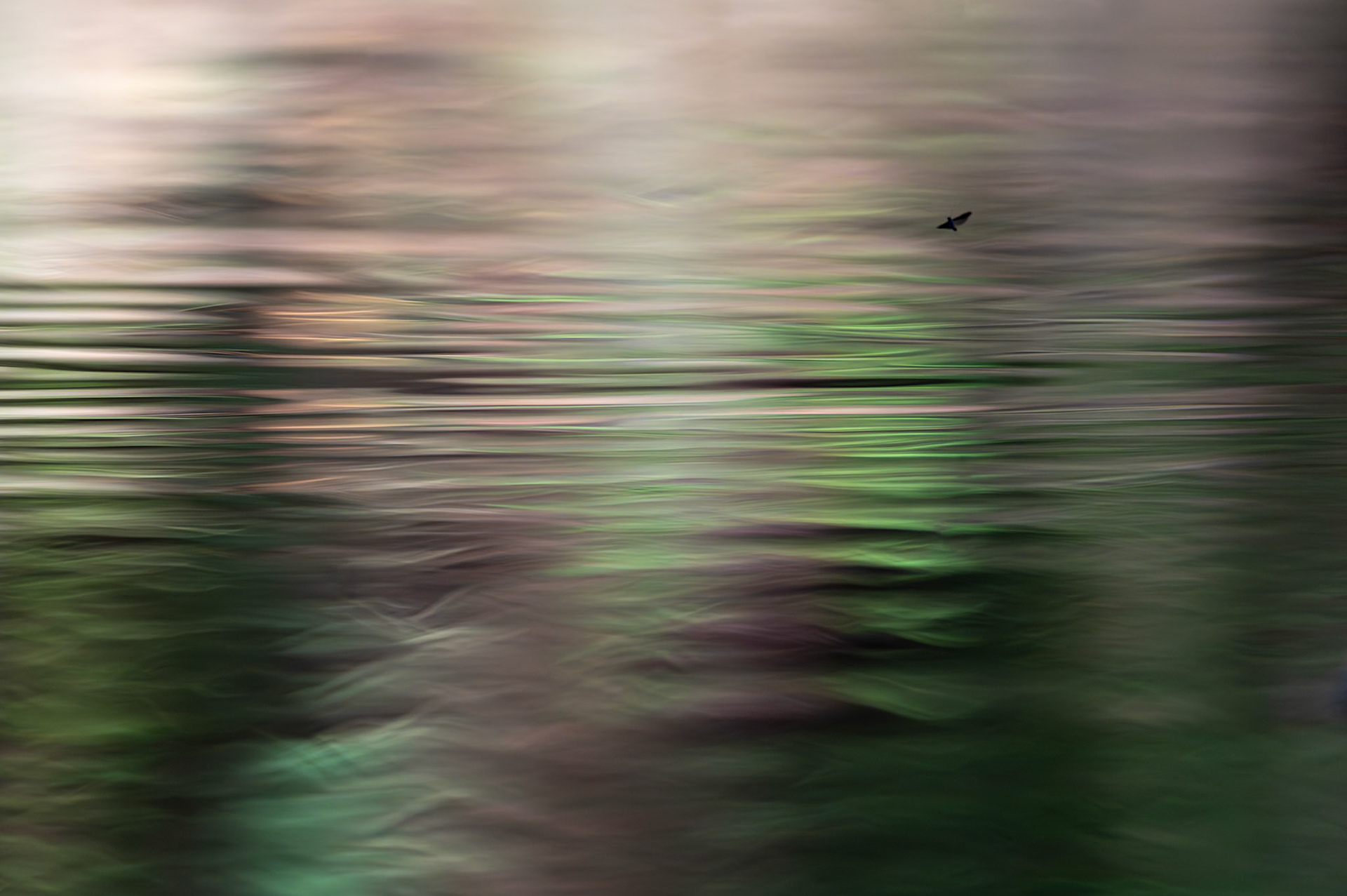 Reflections 9, Lirou 2024