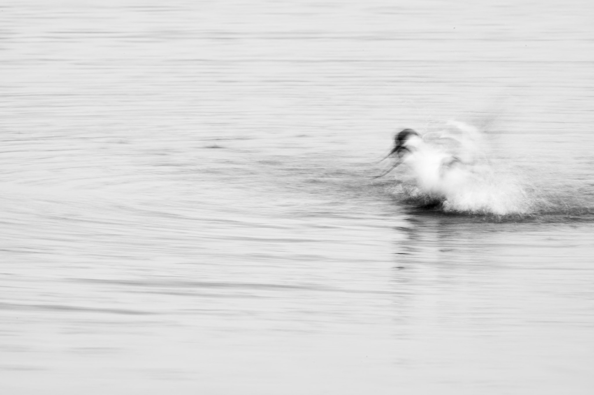Long exposure 2, Camargue 2025
