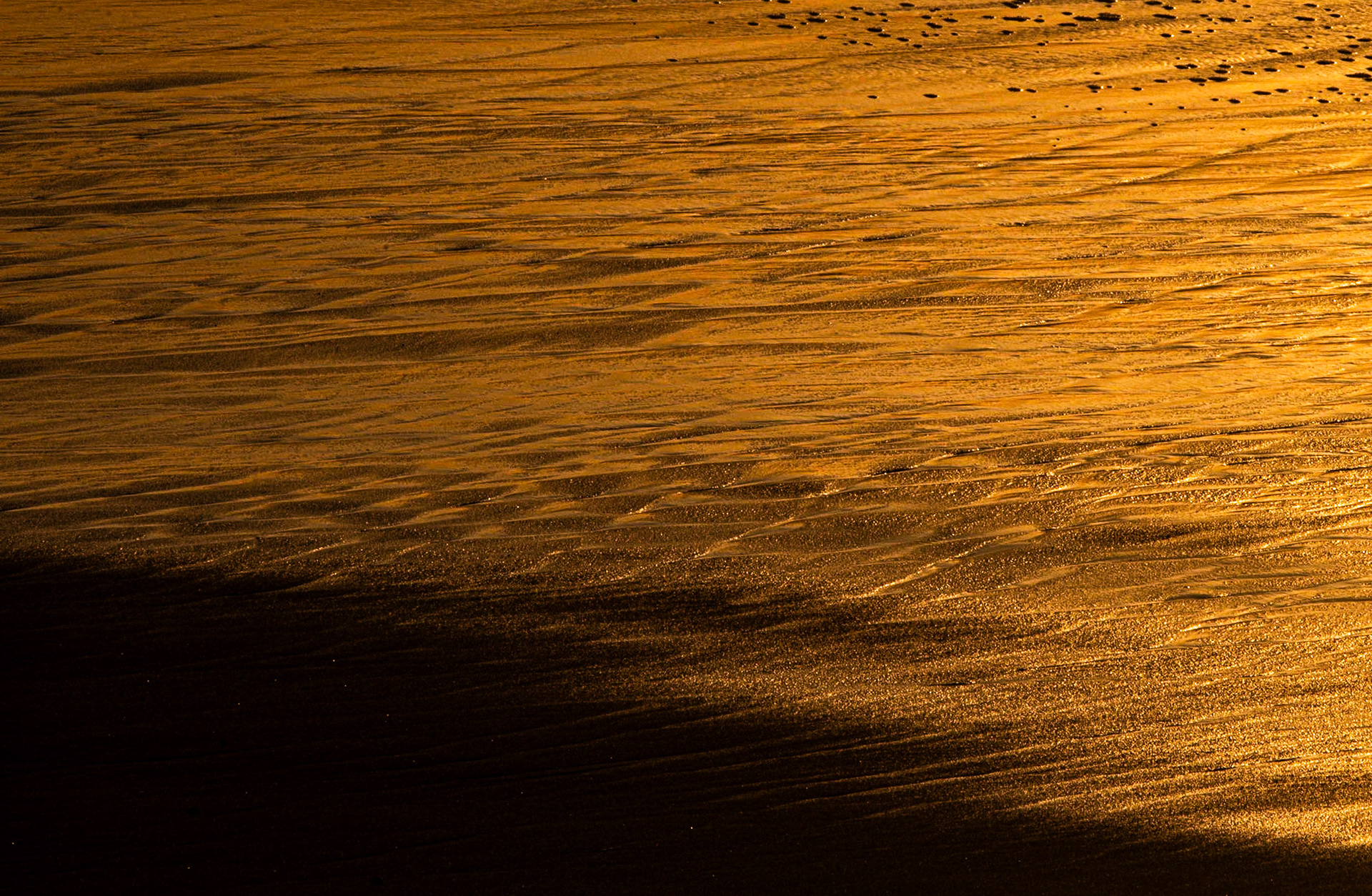 Doré,  Cap Ferret 2020