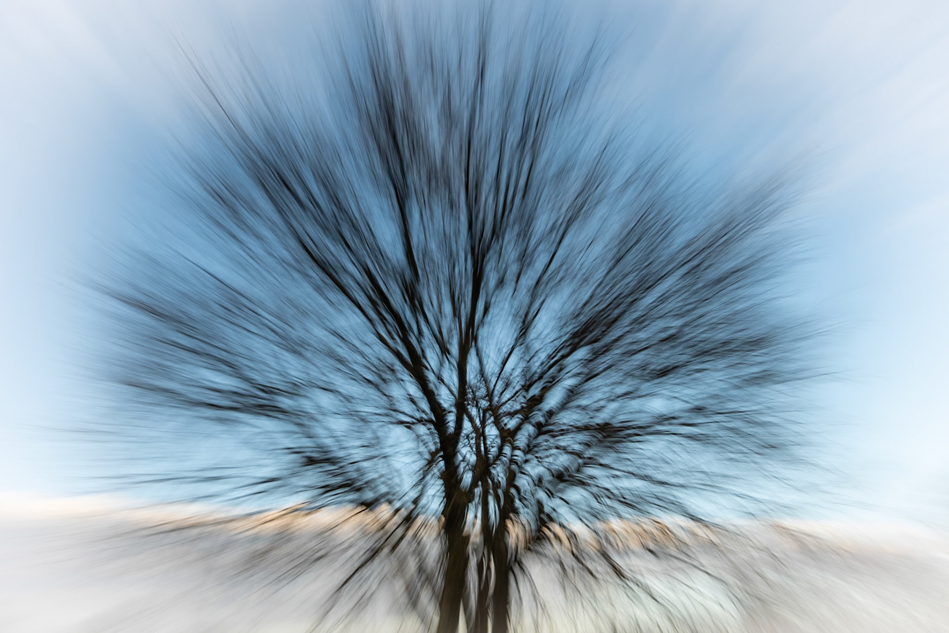 Zooming, prades le Lez 2025