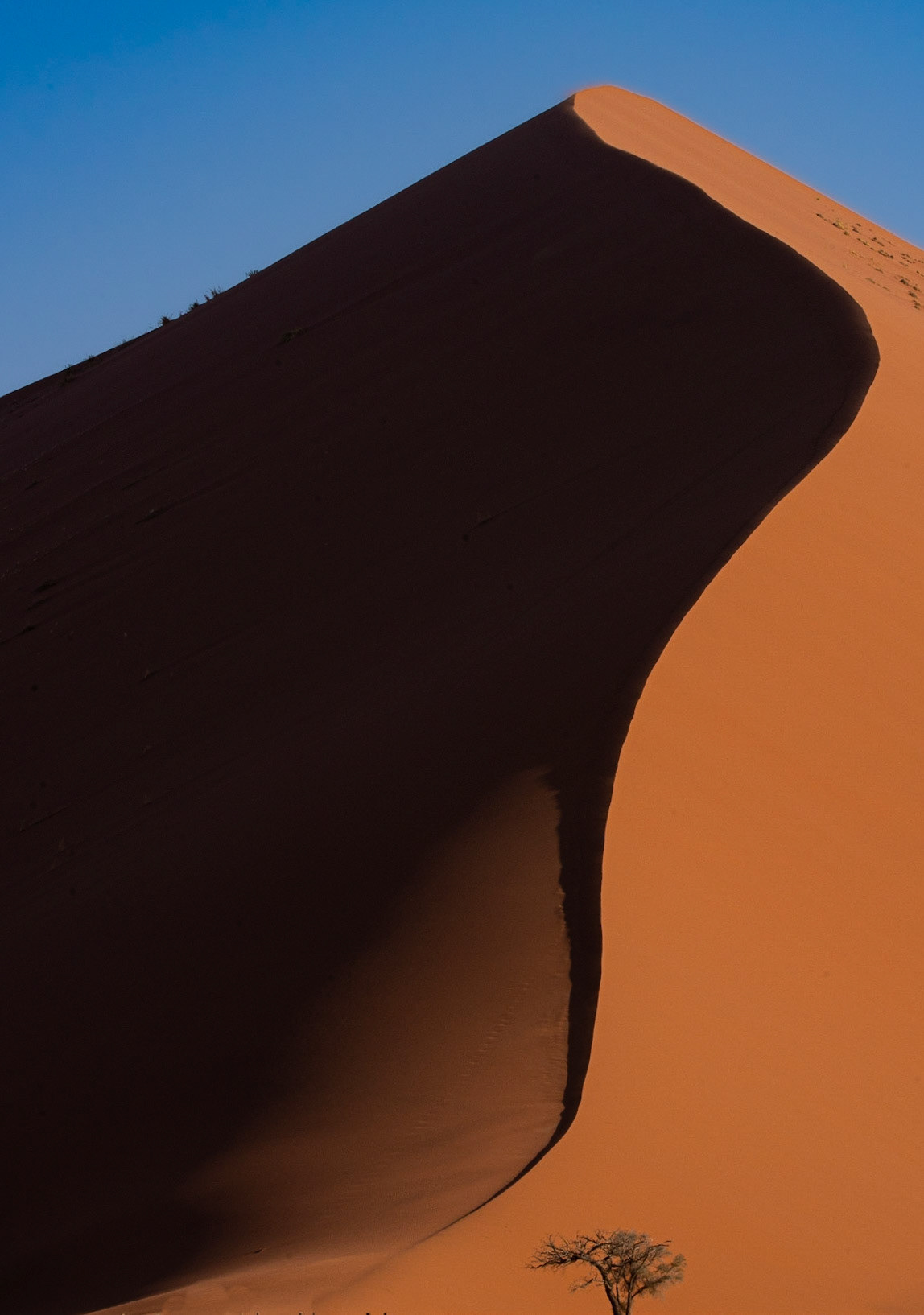 David et Goliath, Namibia 2019