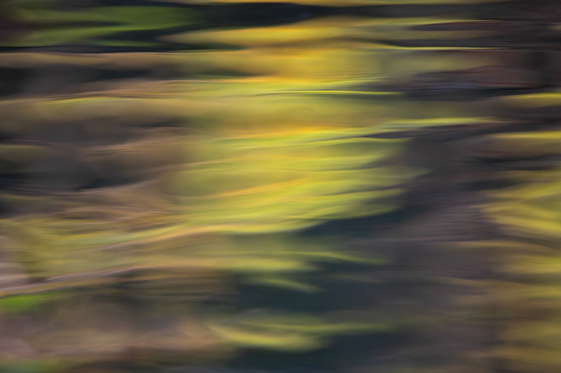 Reflets #2, Prades le Lez 2024