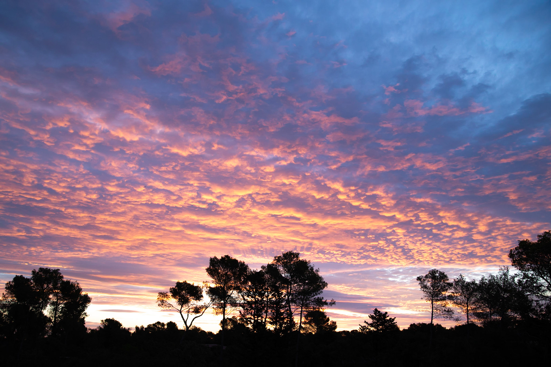 Sunrise 2, Montpellier 2022
