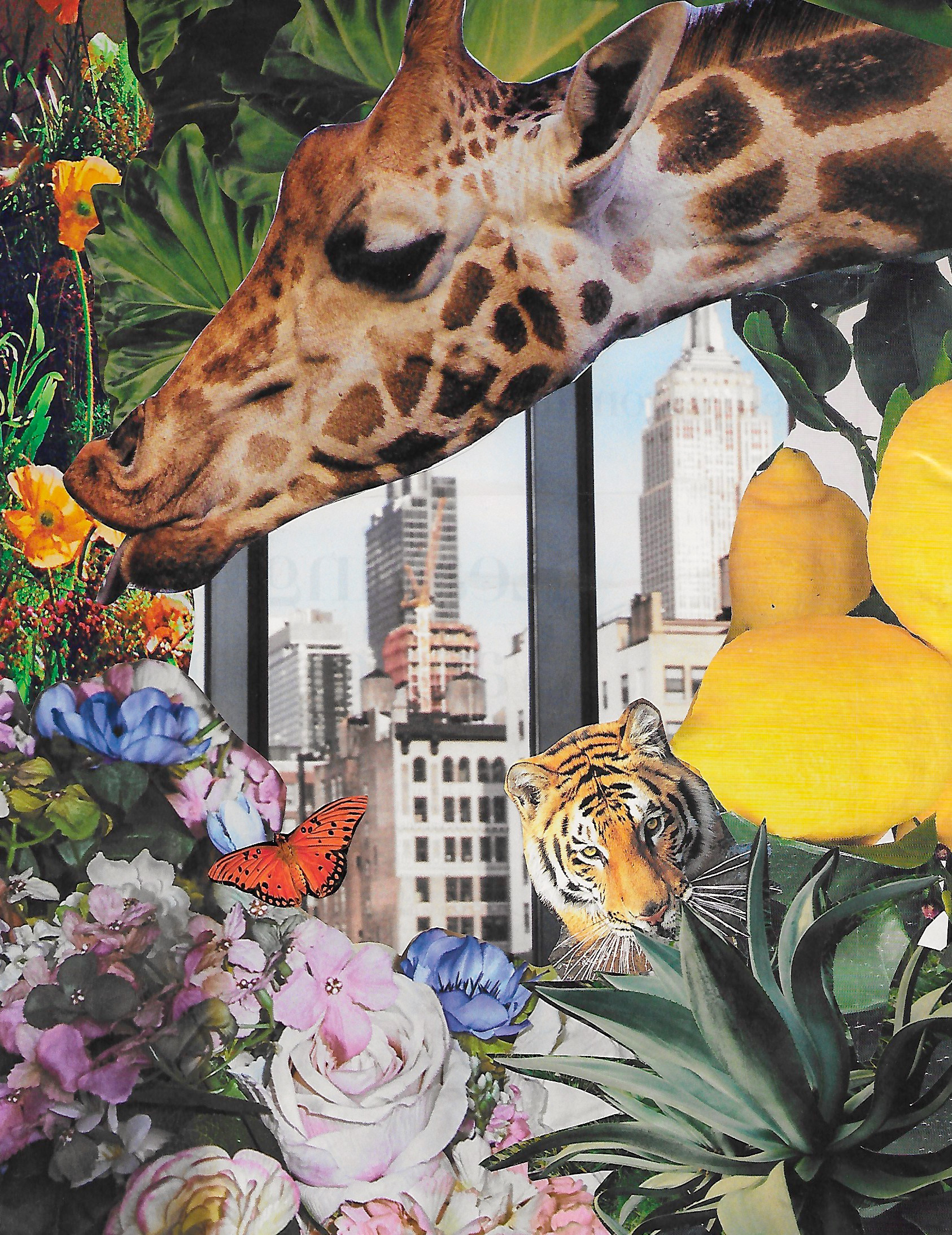 Concrete Jungle, 2018