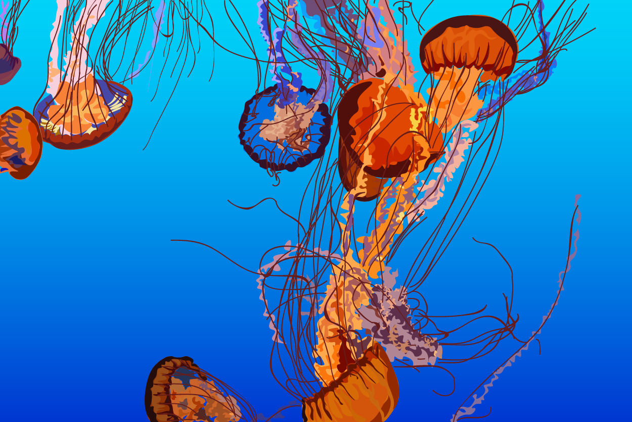 Jelly Fish in Motion, 2018