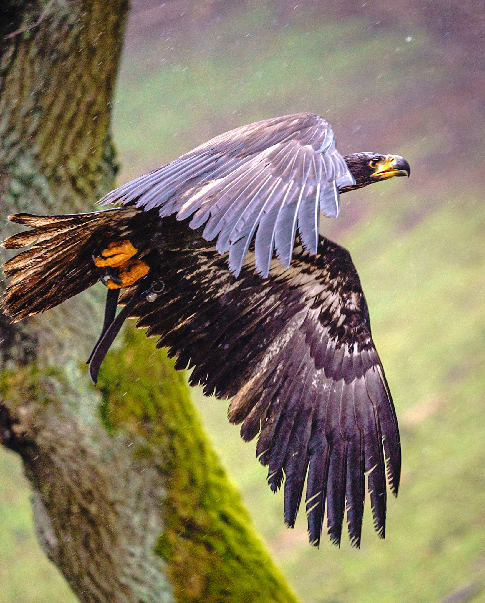 Im Tierpark Schwarze Berge